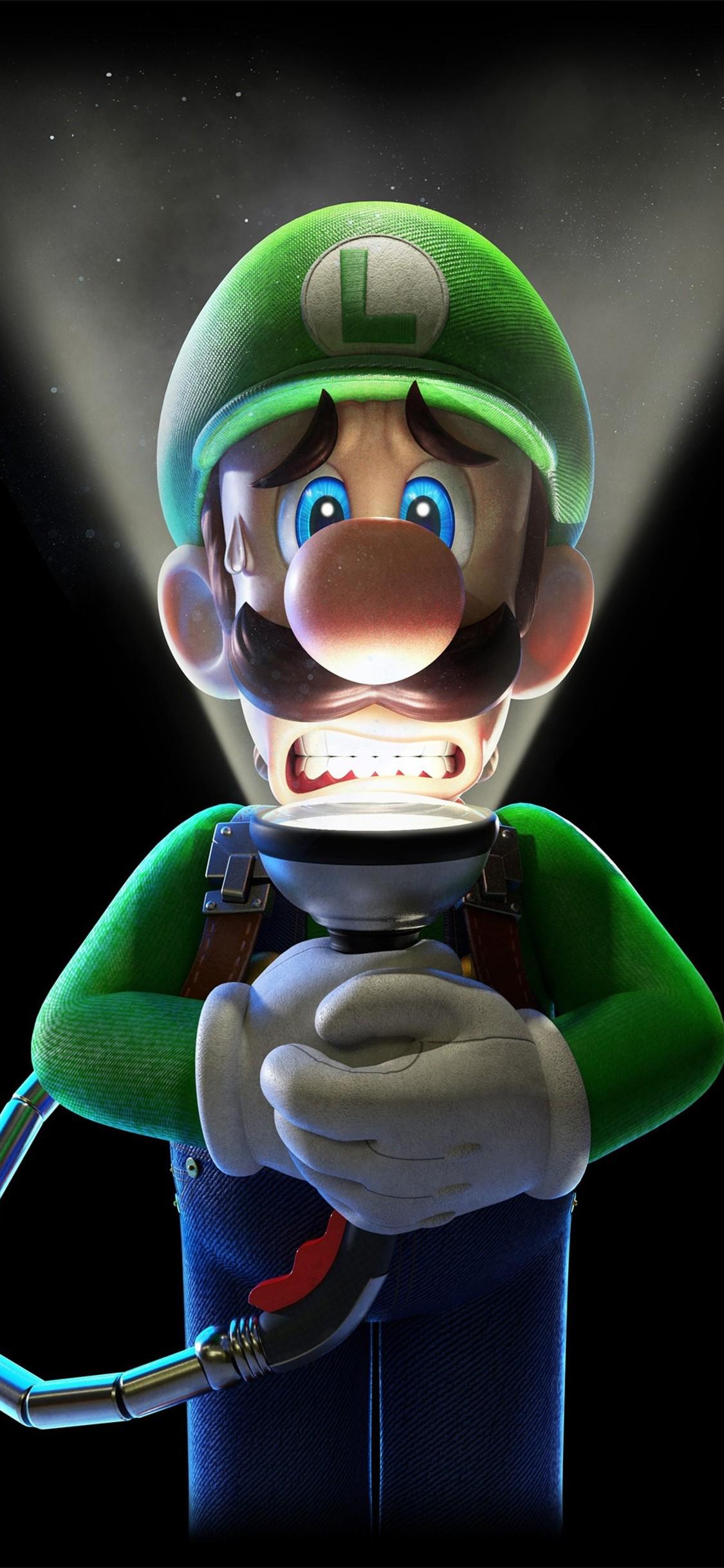 Luigi's Mansion Wallpapers