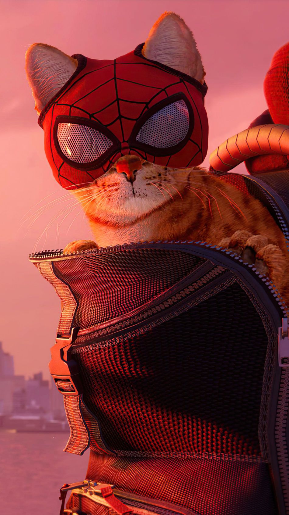 Miles Morales Cat Wallpapers