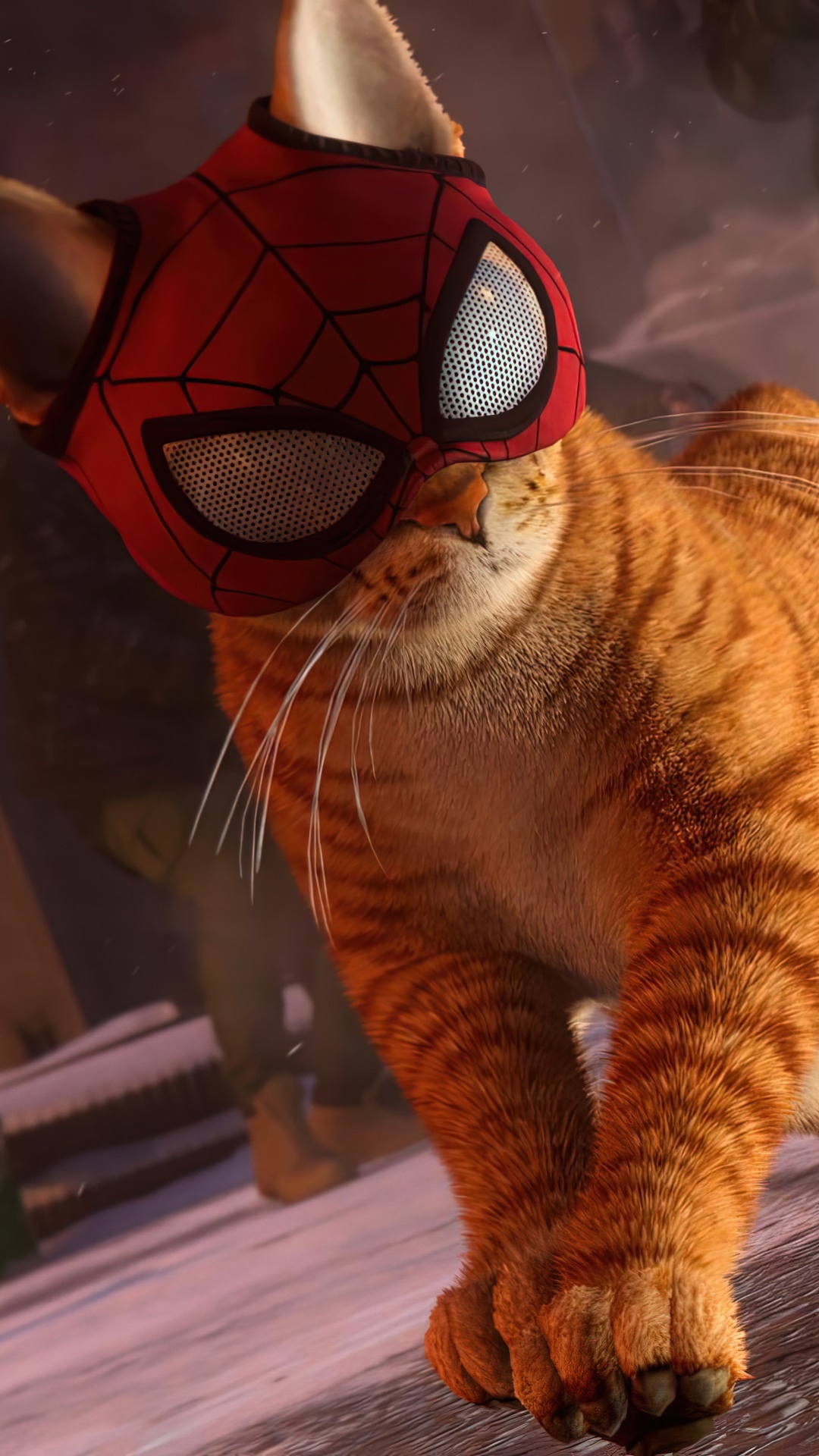 Miles Morales Cat Wallpapers