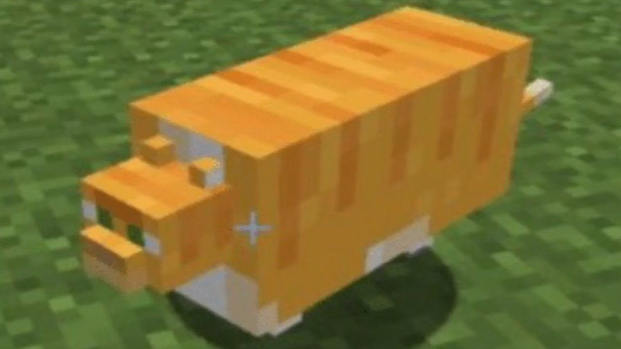 minecraft catsWallpapers