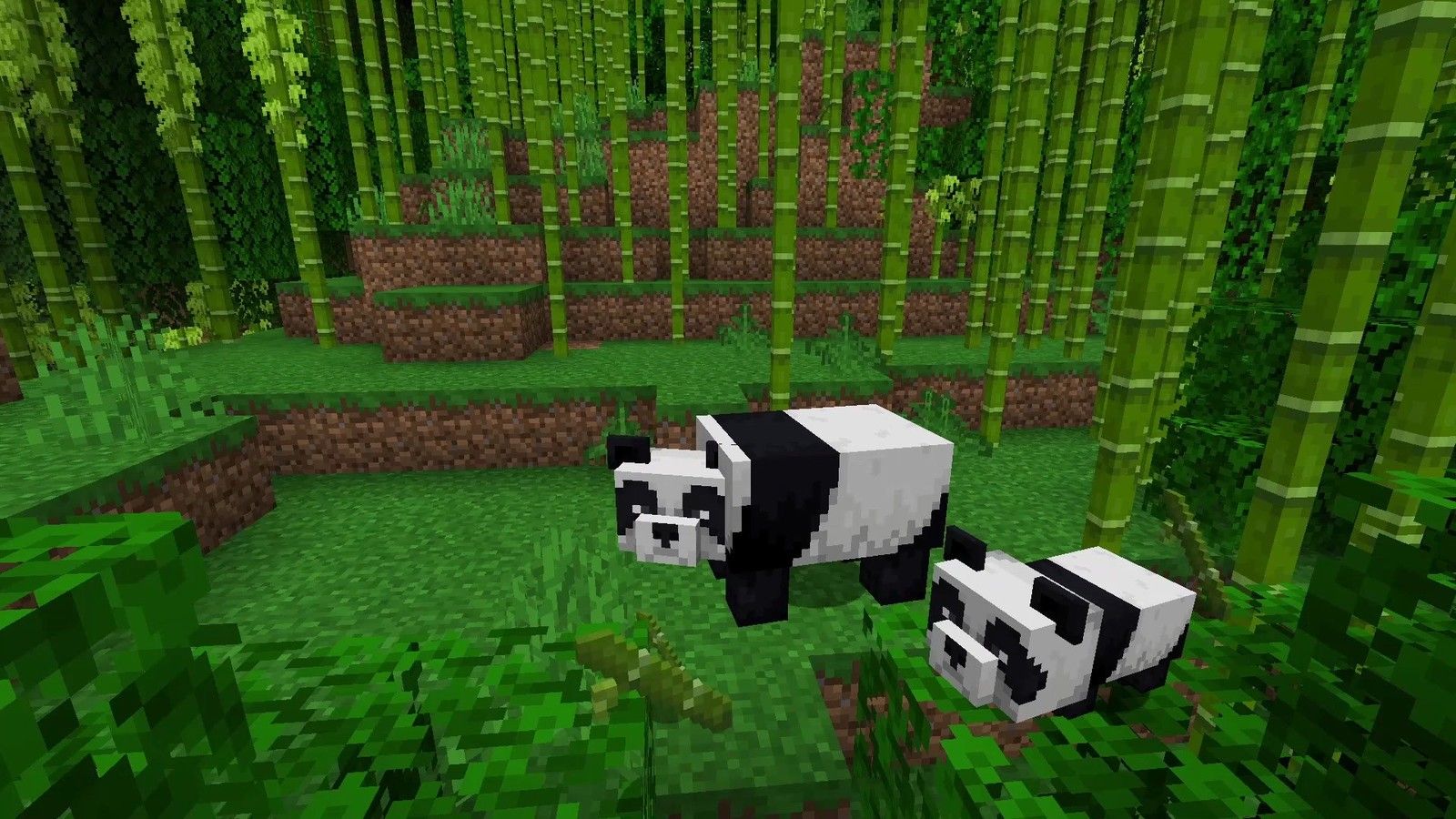 minecraft panda  Wallpapers