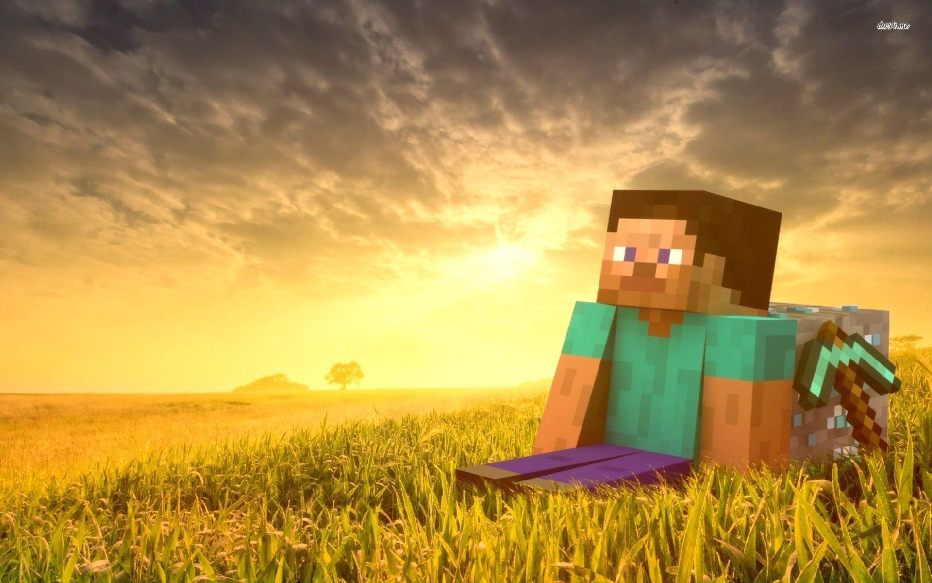 minecraft steveWallpapers