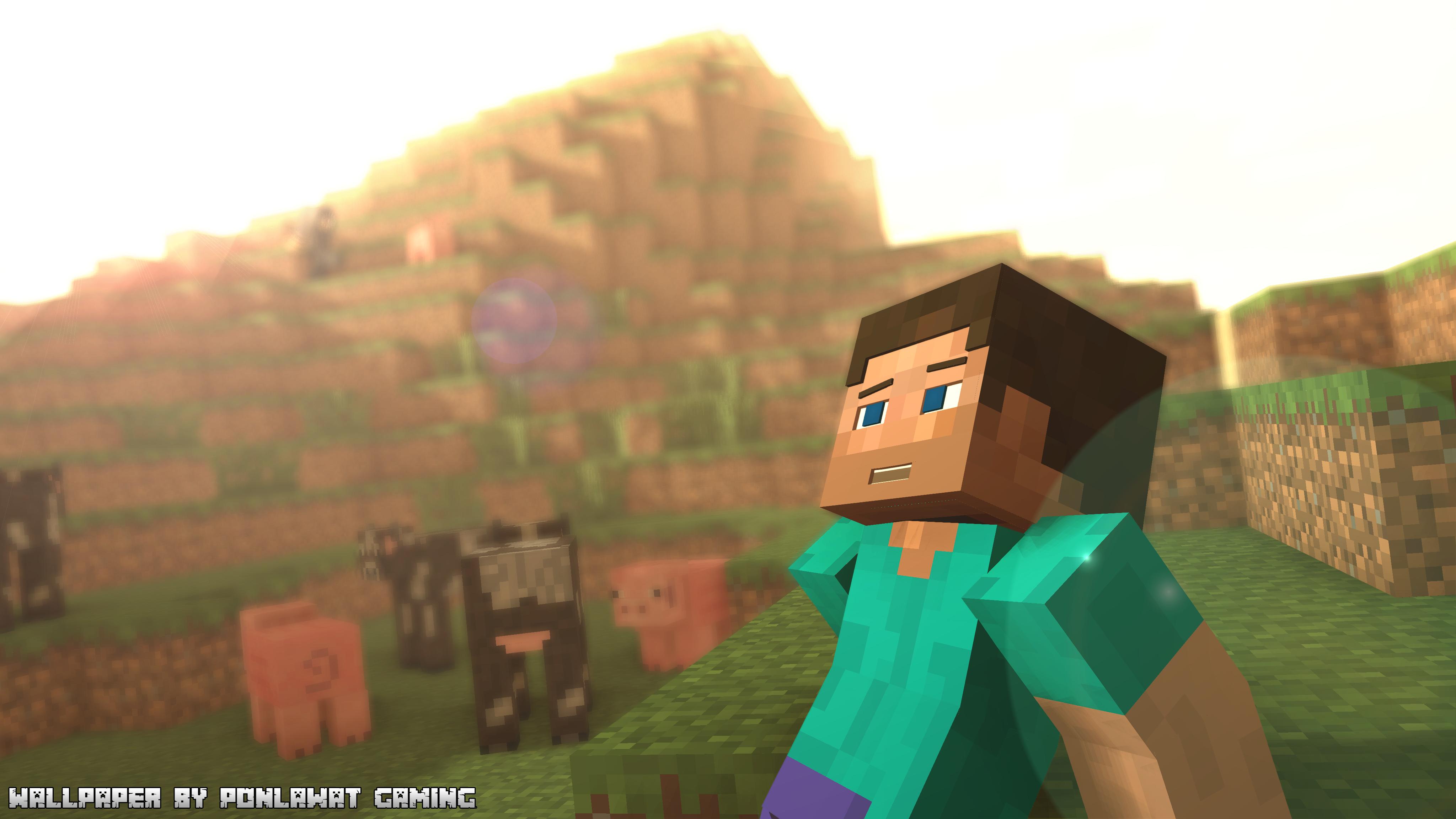 minecraft steveWallpapers