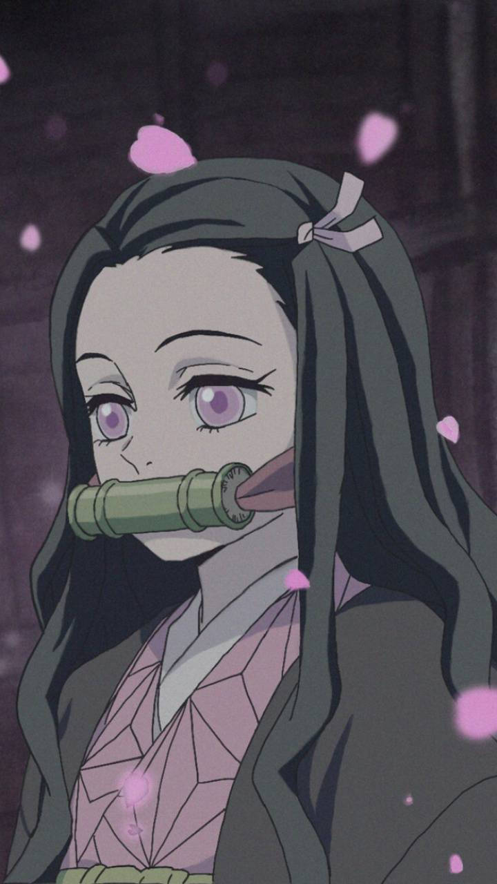 Nezuko Demon Slayer Wallpapers