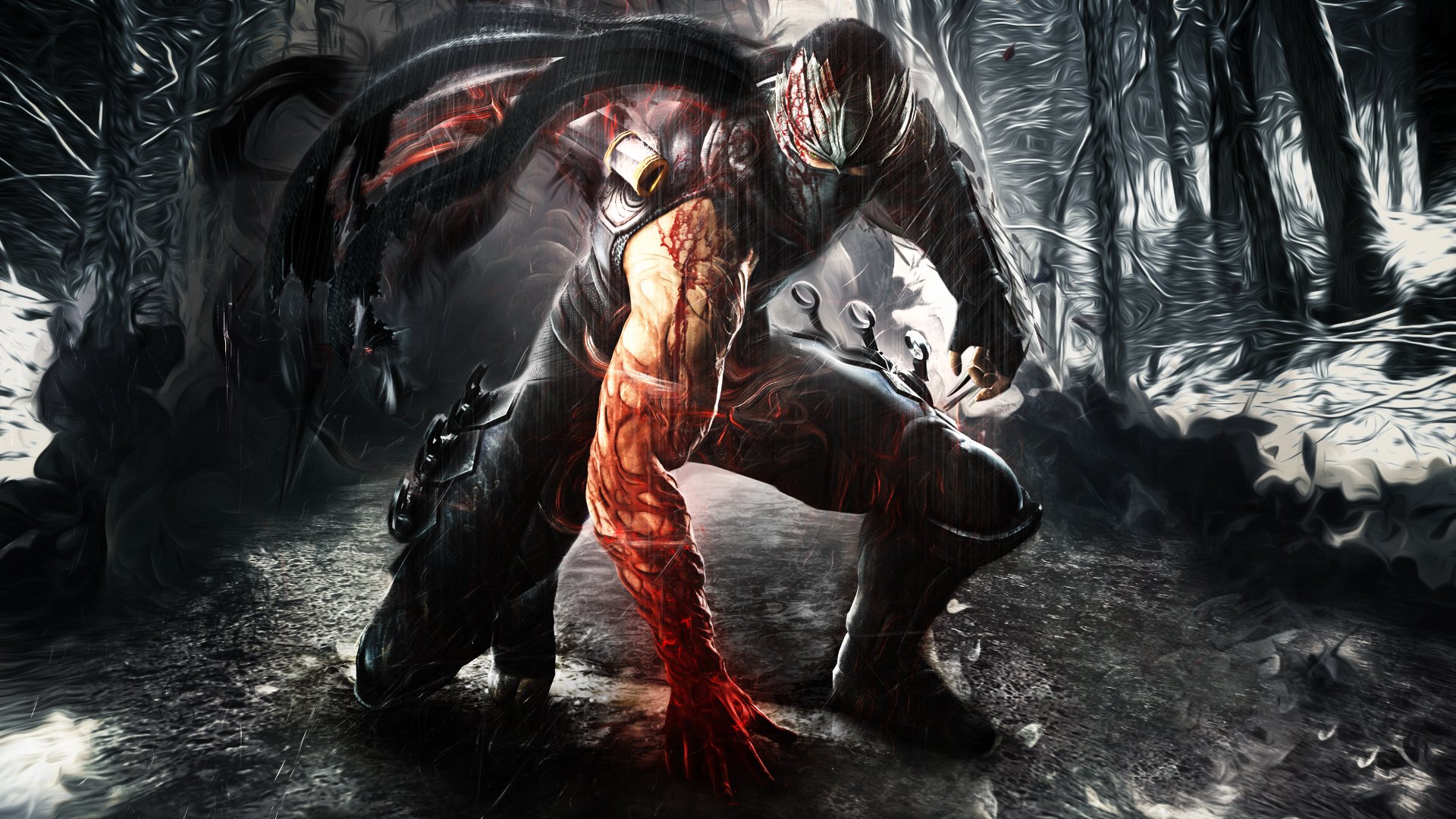 Ninja Gaiden Wallpapers