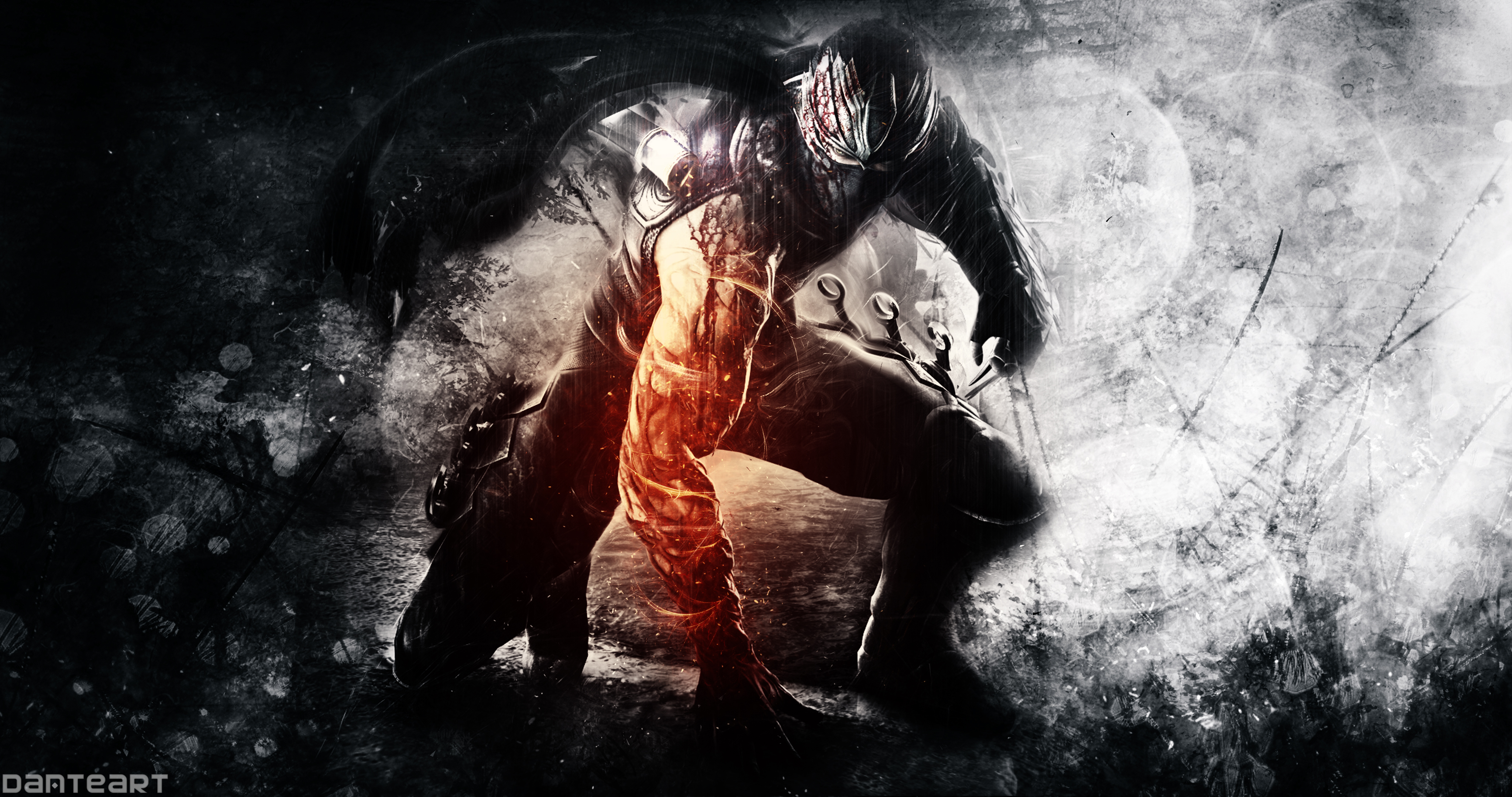 Ninja Gaiden Wallpapers