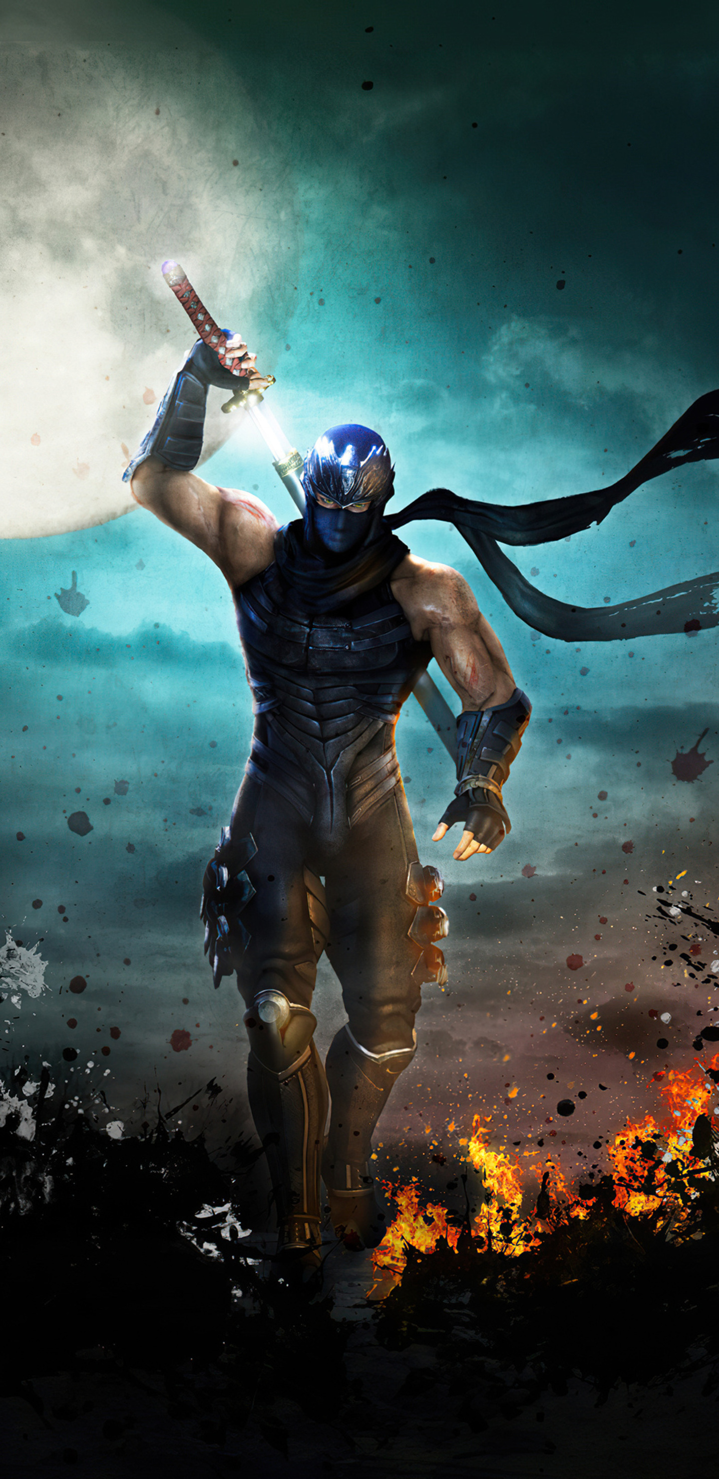 Ninja Gaiden Wallpapers