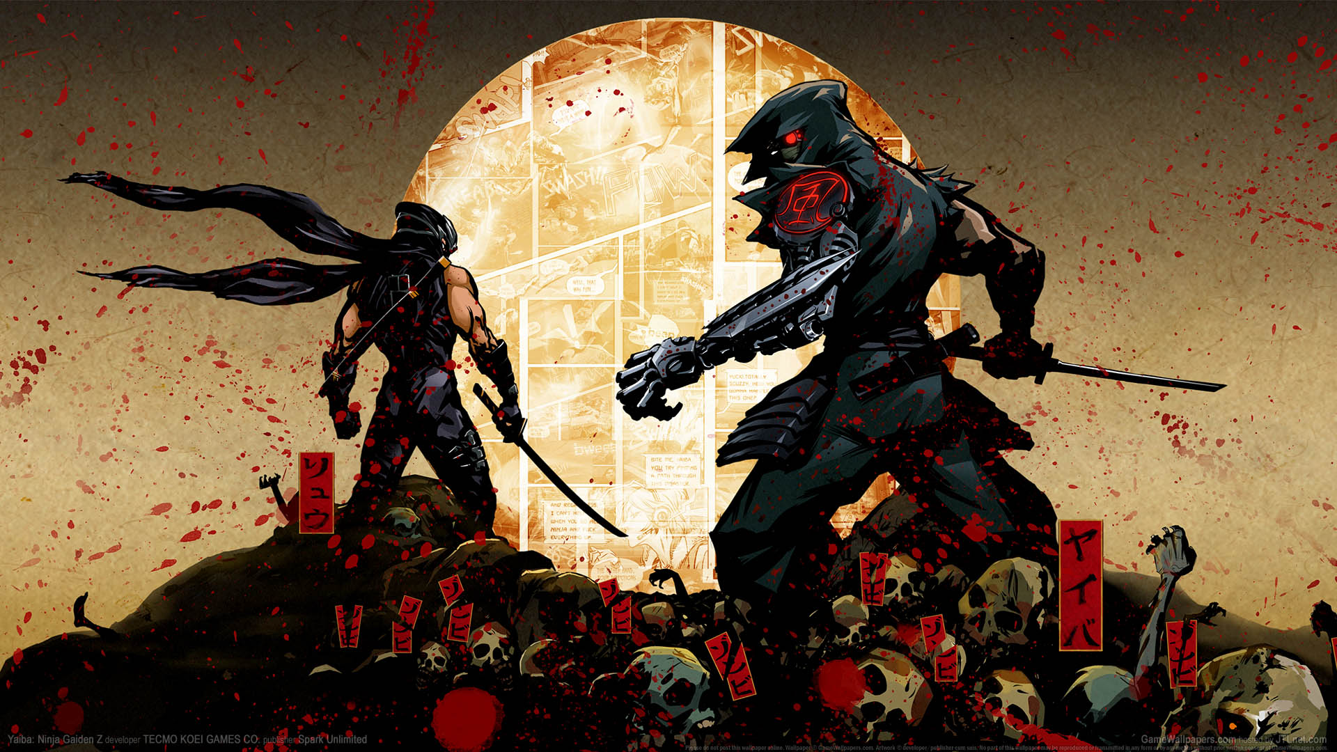 Ninja Gaiden Wallpapers