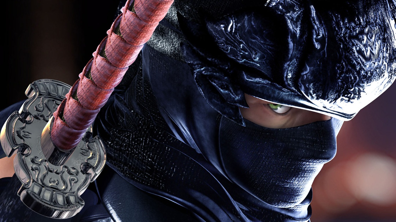 Ninja Gaiden Wallpapers