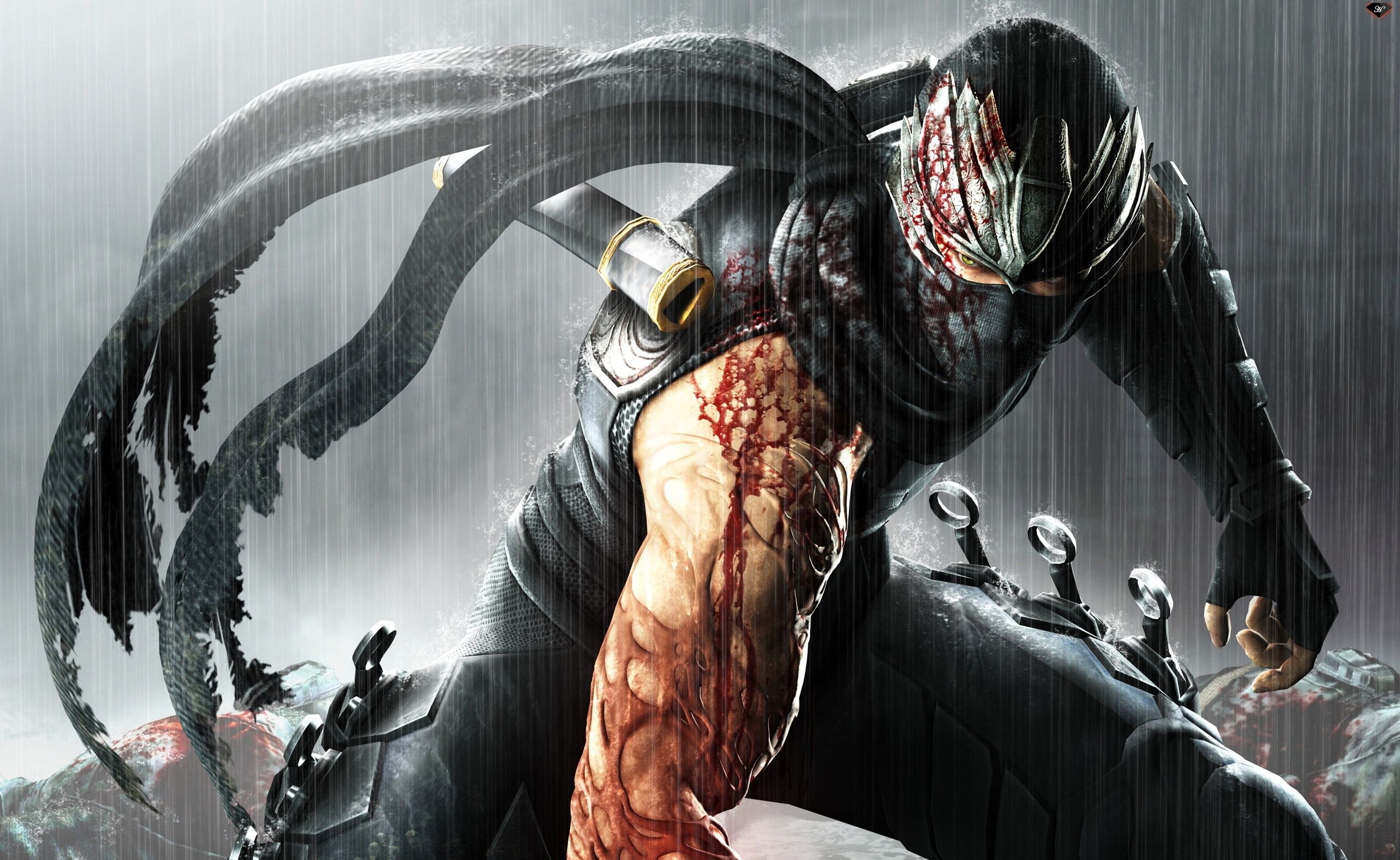 Ninja Gaiden Wallpapers