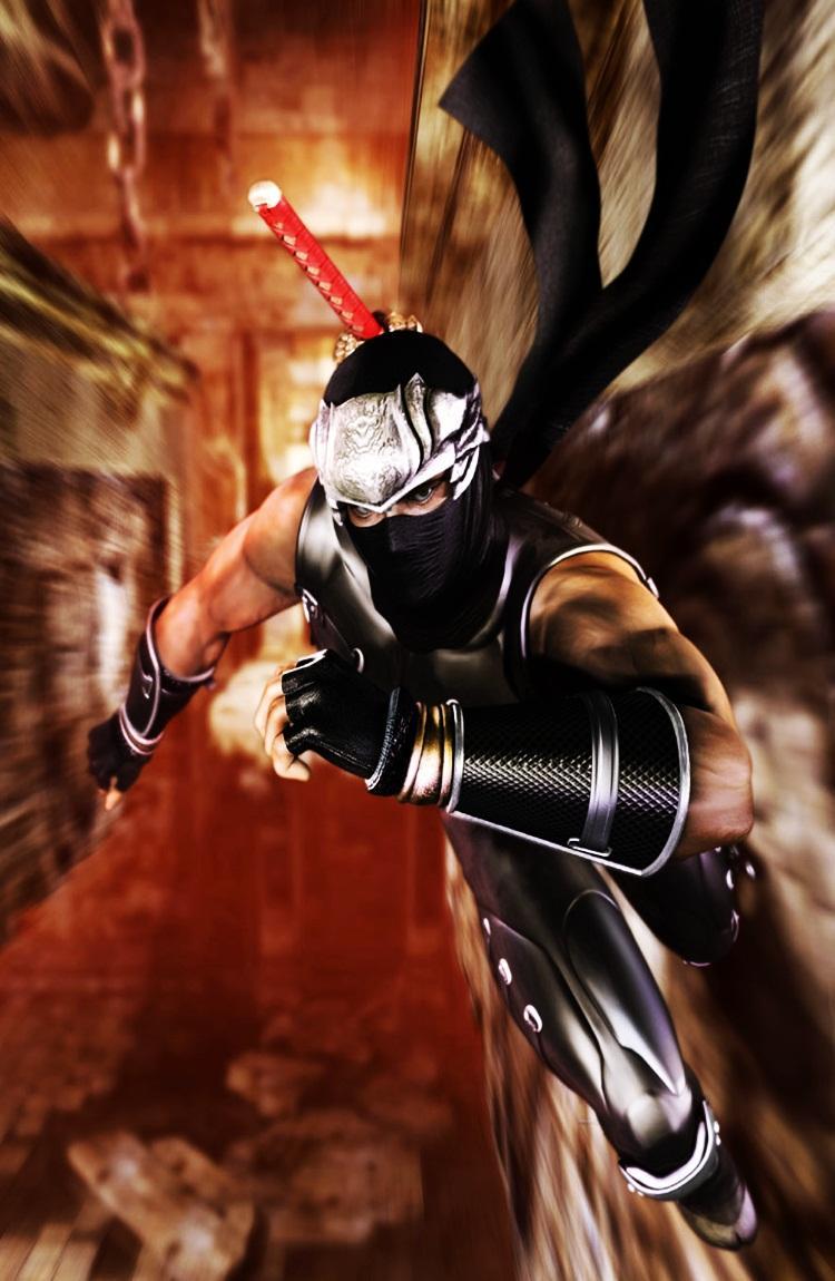 Ninja Gaiden Wallpapers