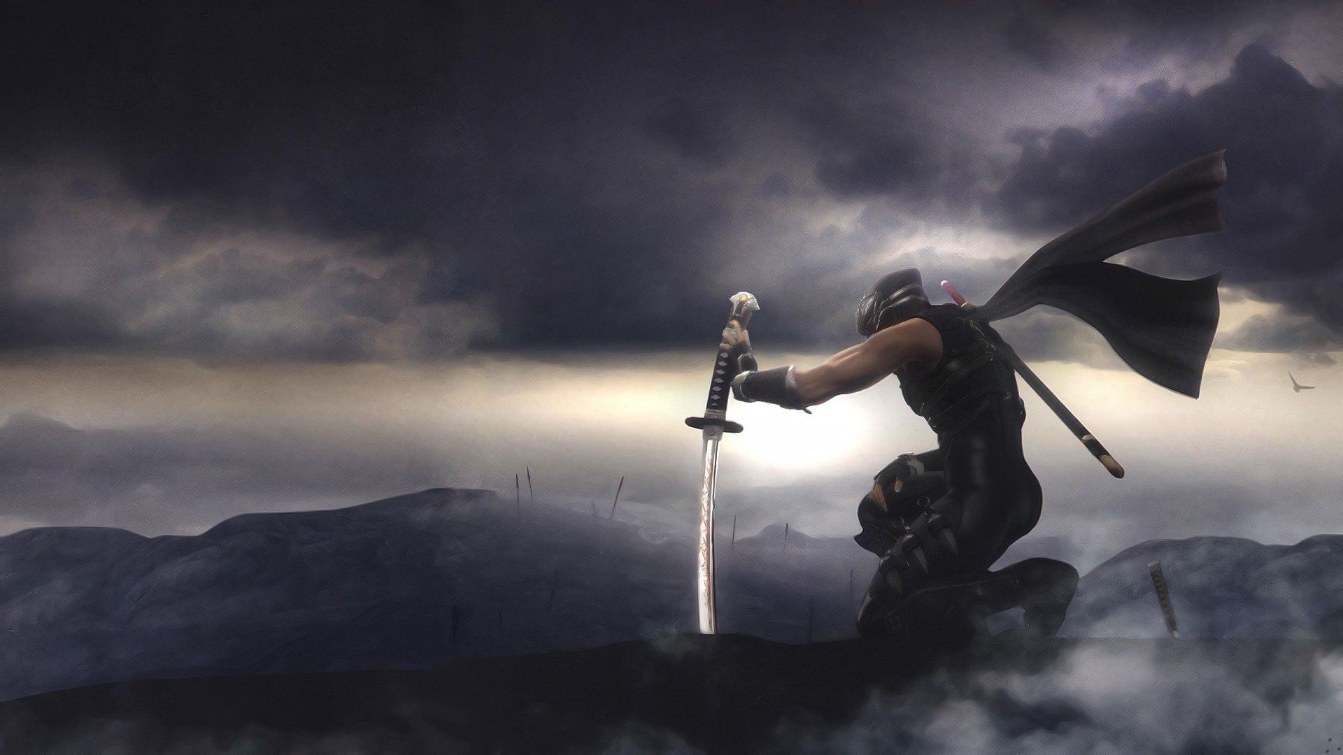 Ninja Gaiden Wallpapers