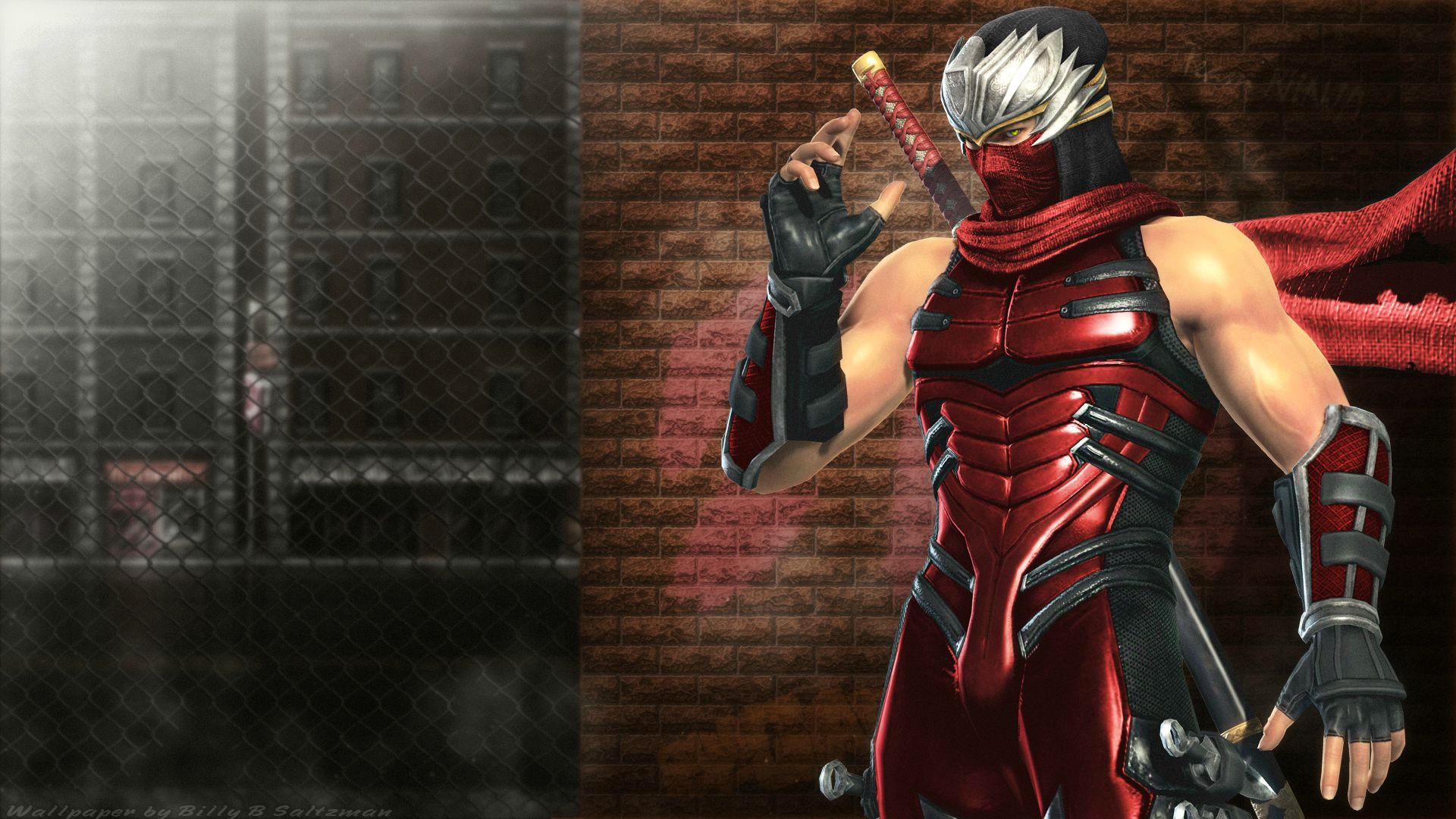 Ninja Gaiden Wallpapers