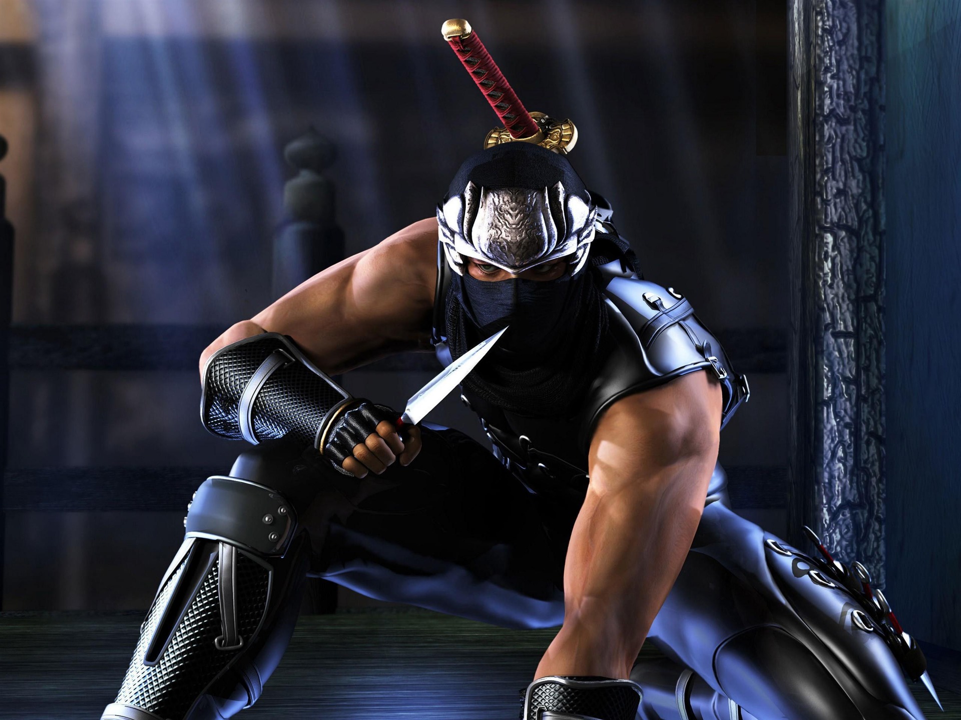 Ninja Gaiden Wallpapers