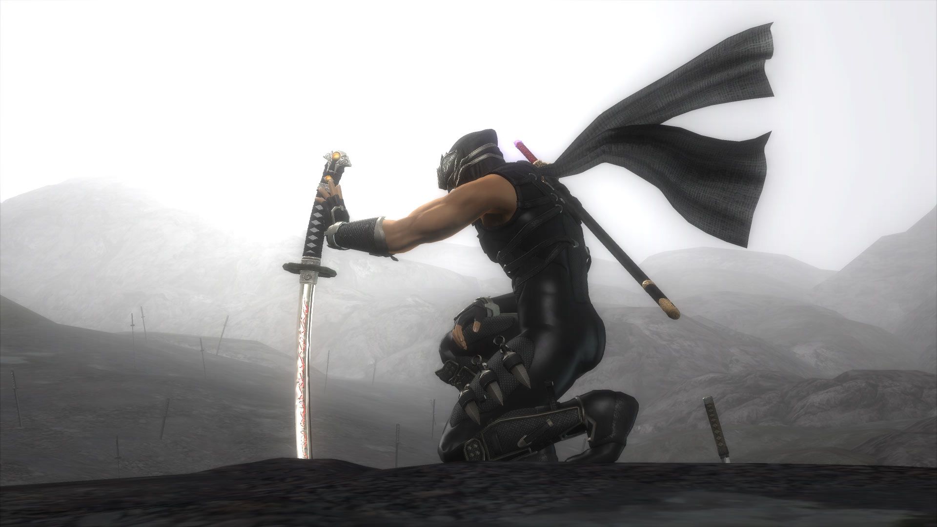 Ninja Gaiden Wallpapers