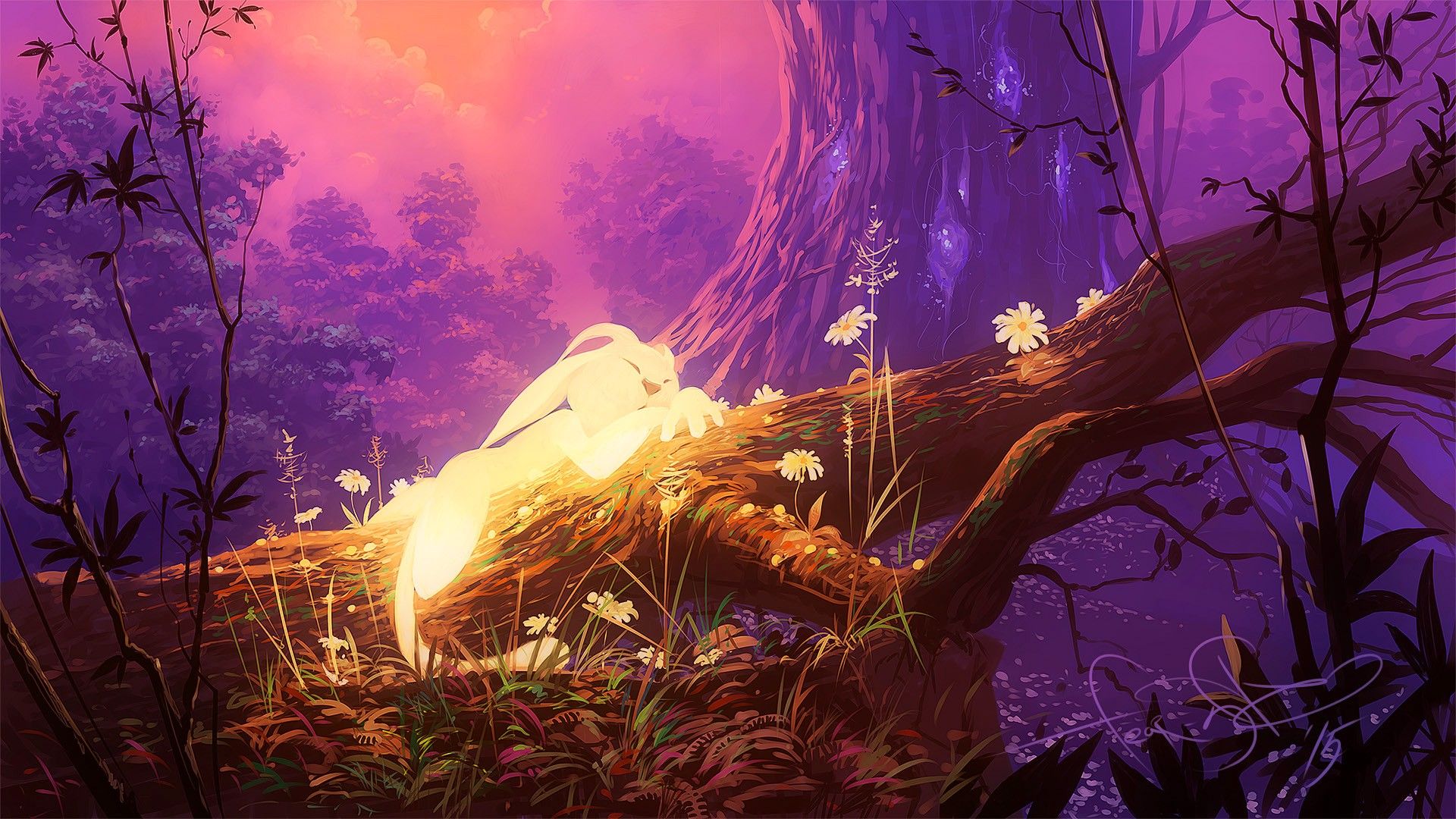 Ori and the Blind Forest Wallpapers