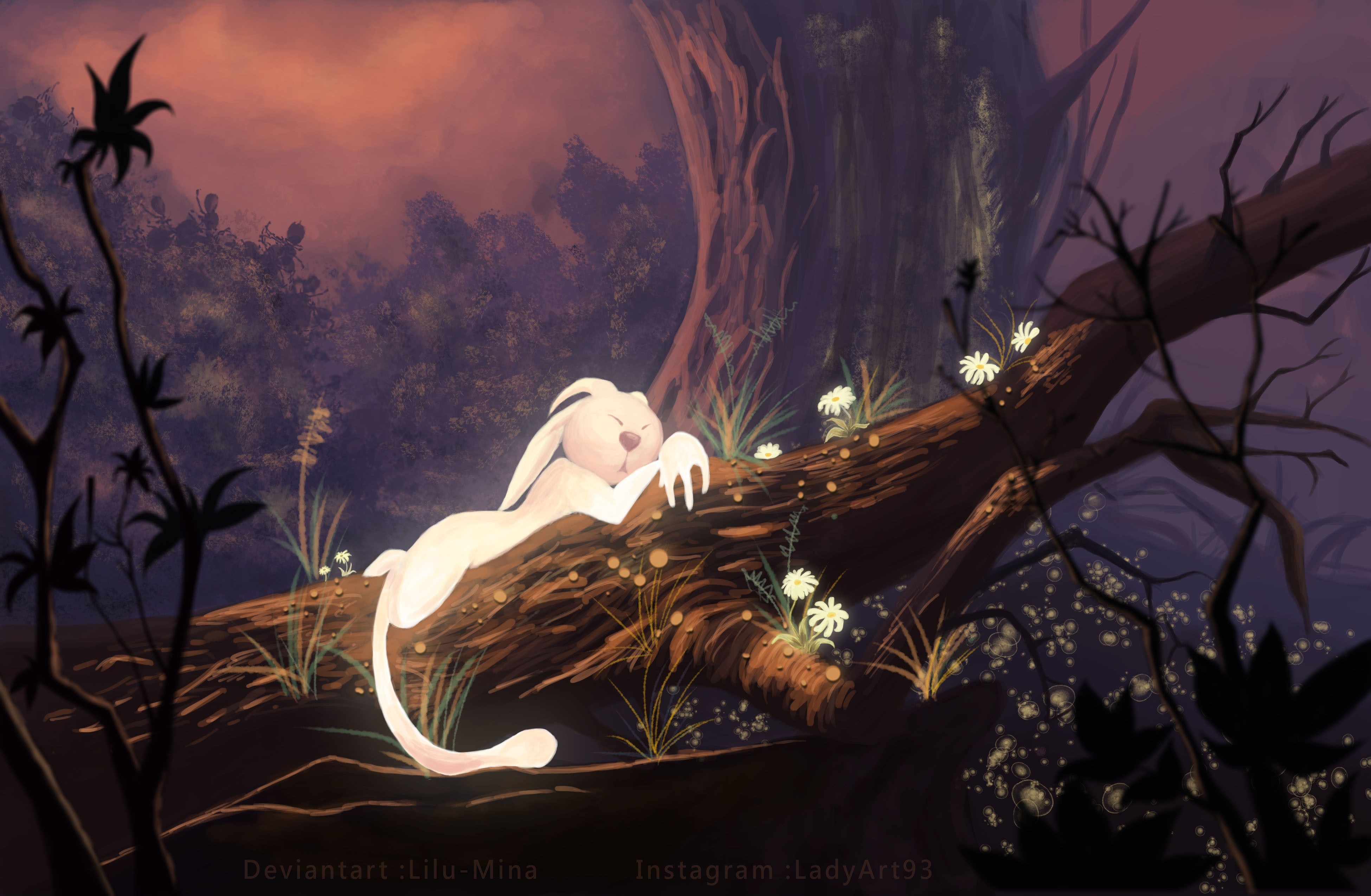 Ori and the Blind Forest Wallpapers