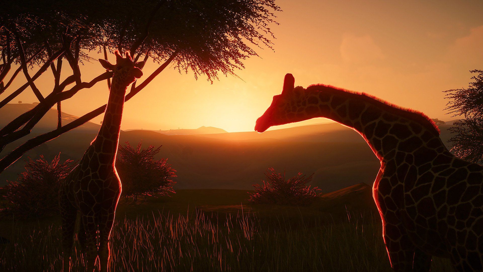 Planet Zoo 2020 Wallpapers