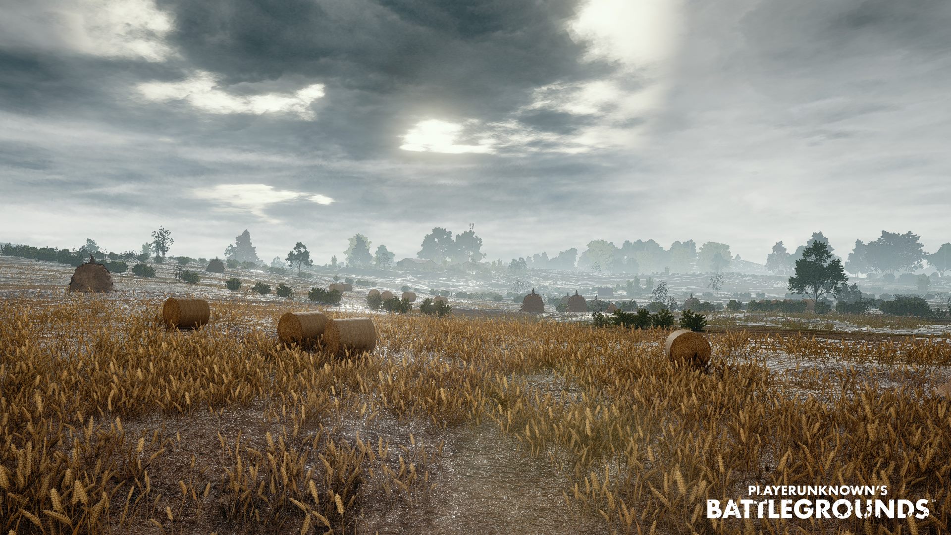 PlayerUnknown's Battlegrounds Wallpapers