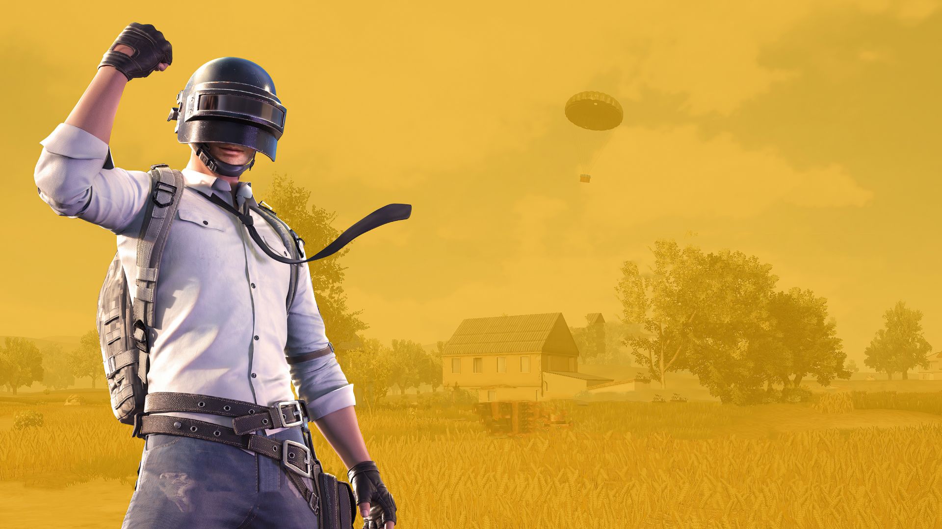 PLAYERUNKNOWN'S BATTLEGROUNDS 2020 Wallpapers