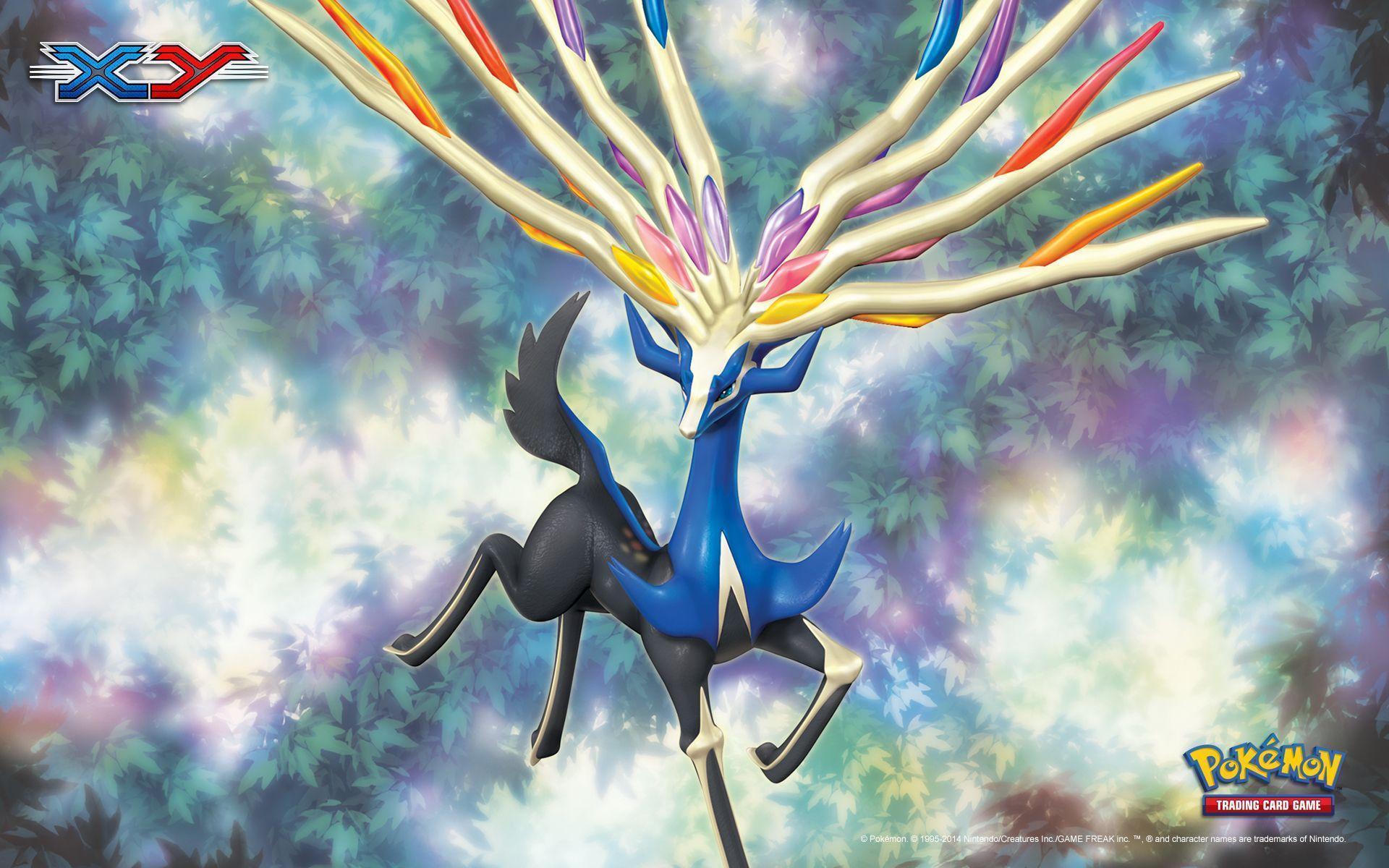 Pokemon: X and Y Wallpapers