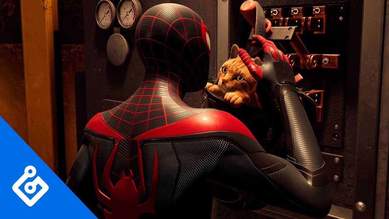 Spider Cat Spider-Man Miles Morales Wallpapers