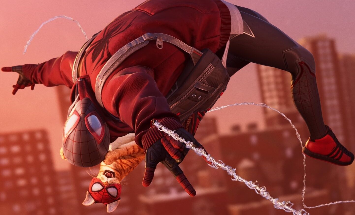 Spider Cat Spider-Man Miles Morales Wallpapers