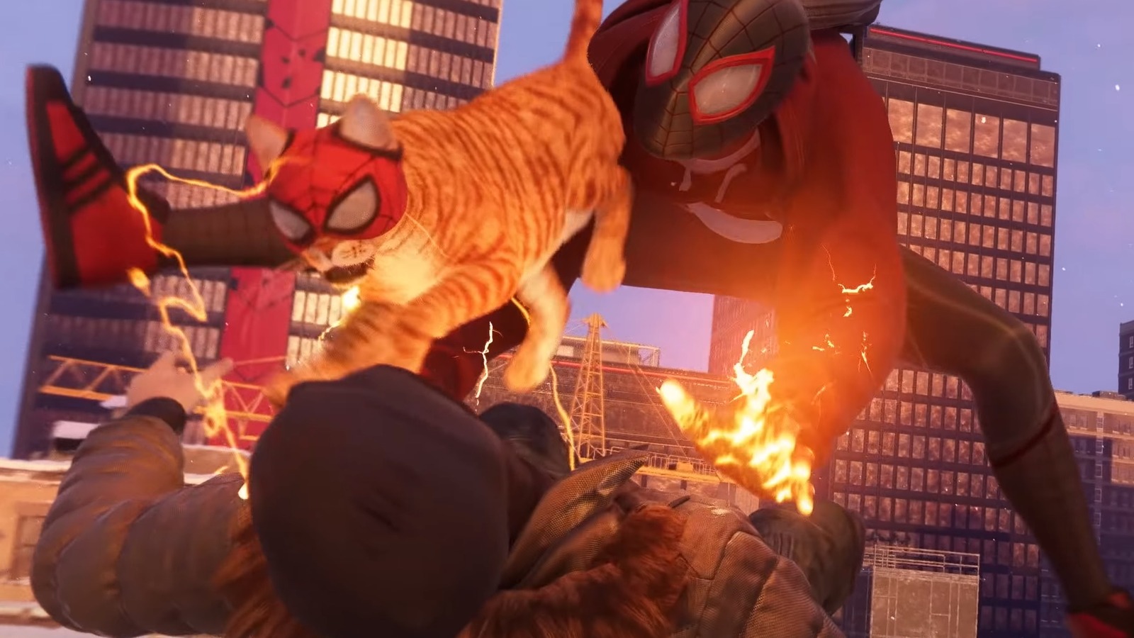 Spider Cat Spider-Man Miles Morales Wallpapers