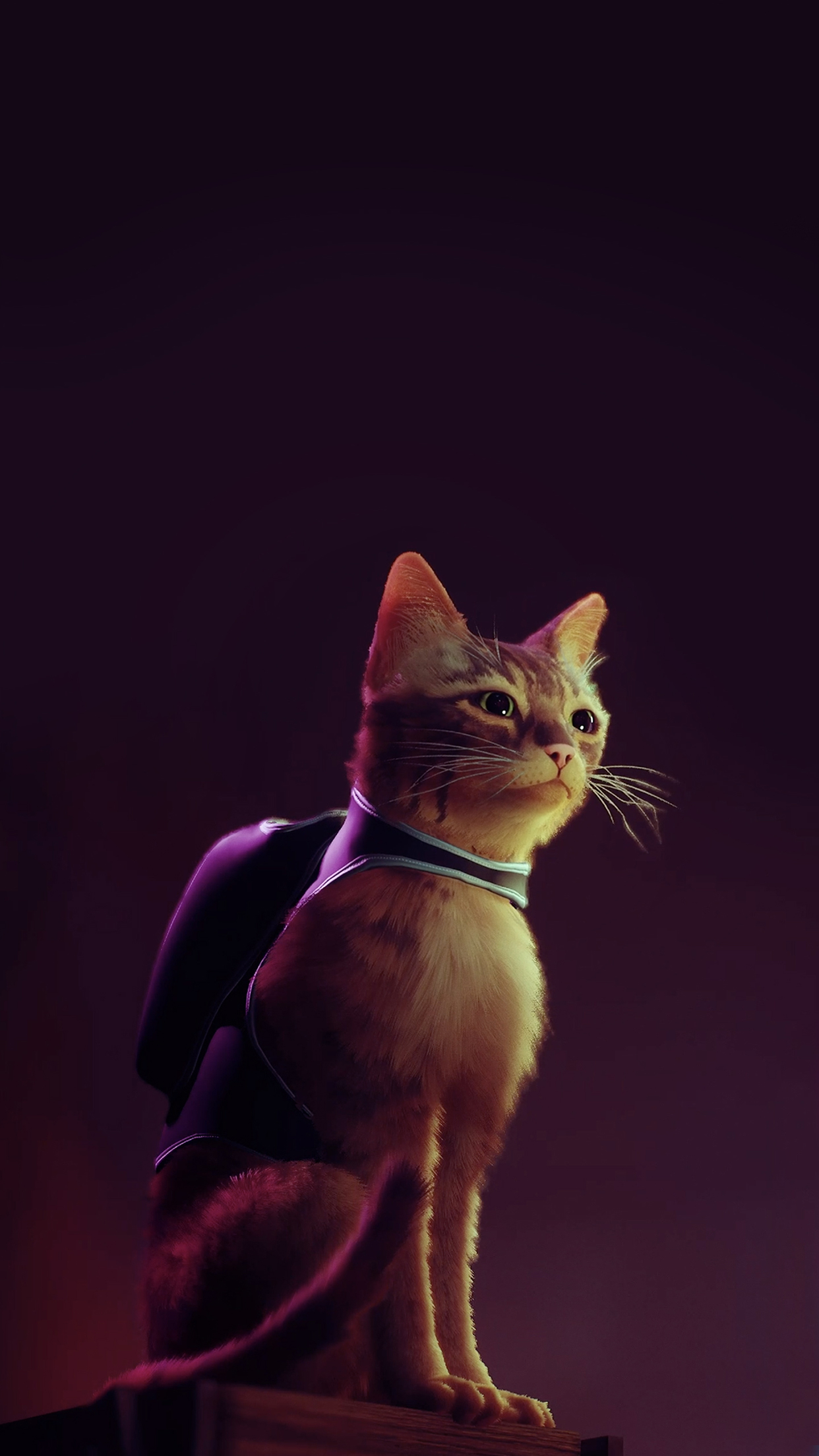 Stray Game Cat Wallpapers