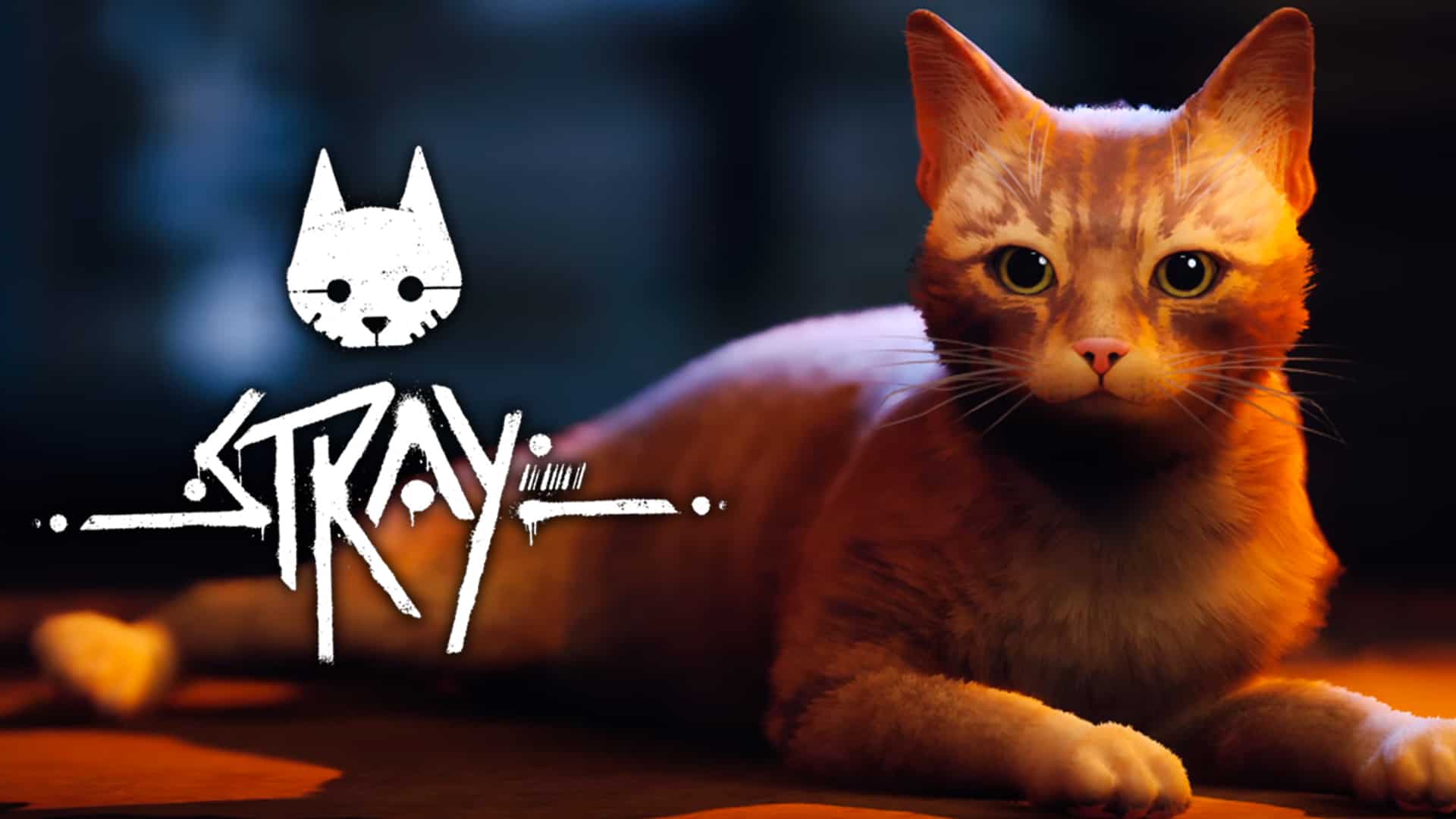 Stray Game Cat Wallpapers