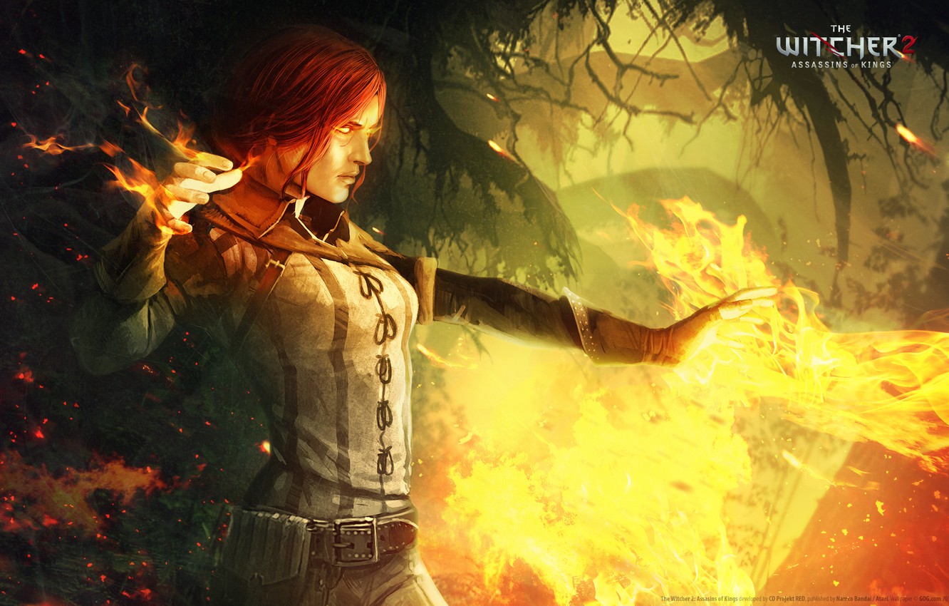 The Witcher 2: Assassins Of Kings Wallpapers