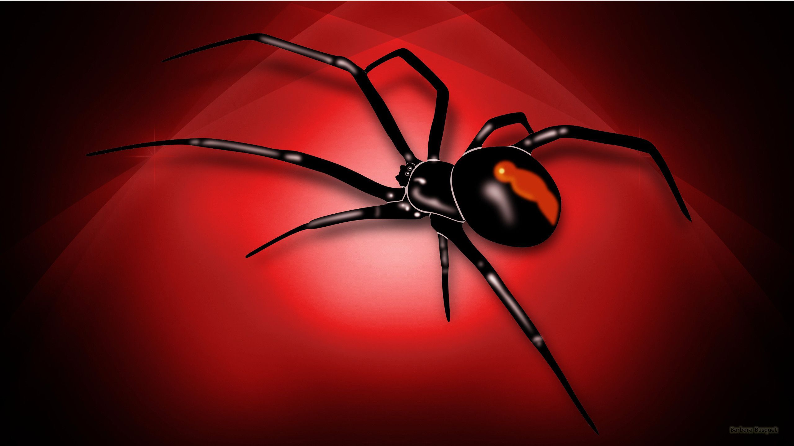 Black Widow Fantasy Art
 Wallpapers