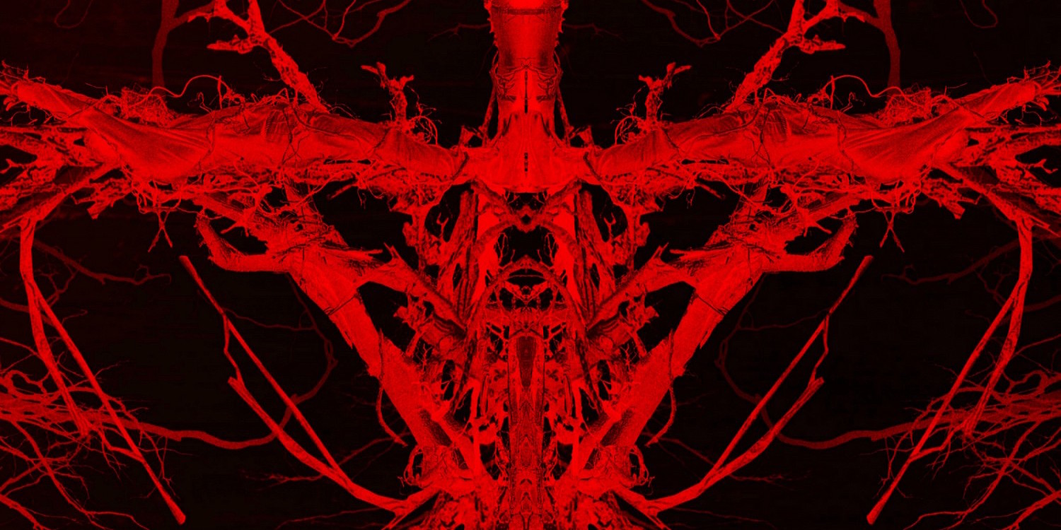 Blair Witch Wallpapers