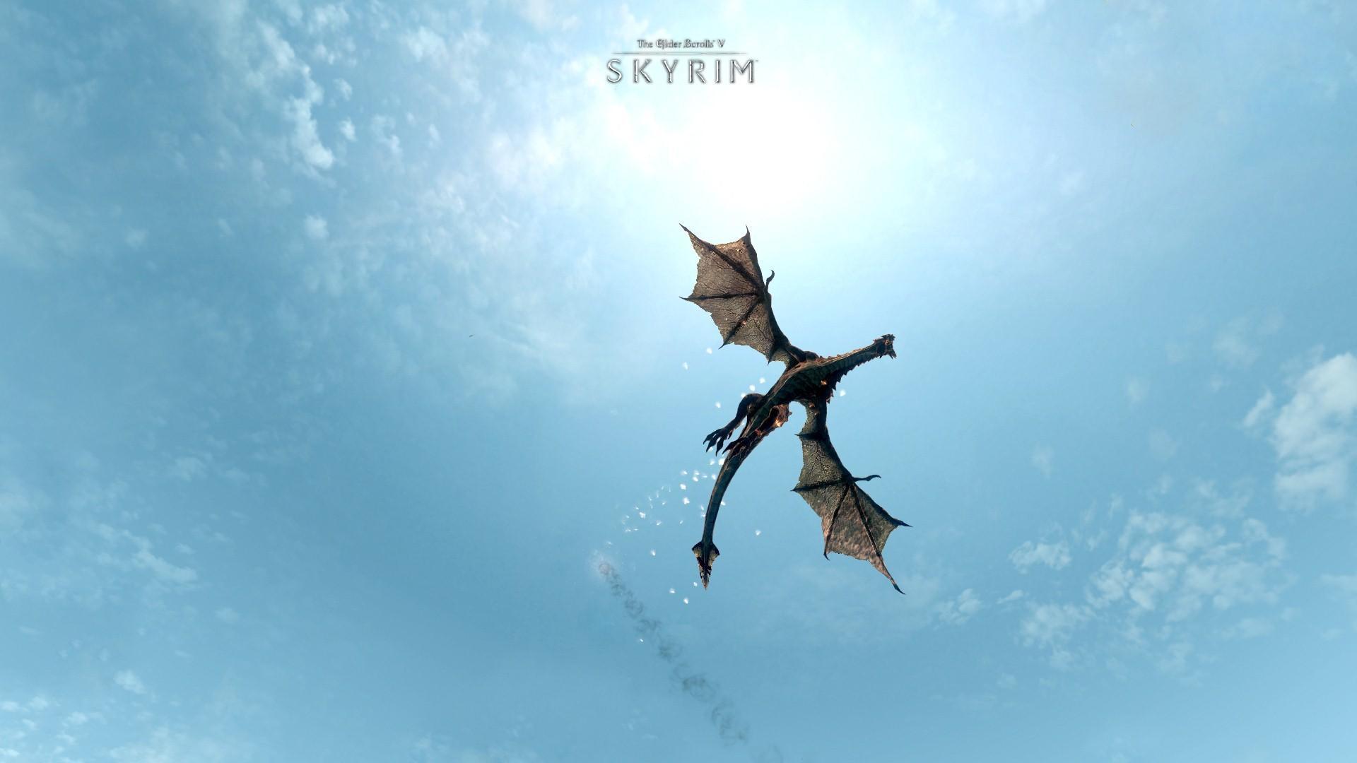 Coastline Dragon Flying
 Wallpapers