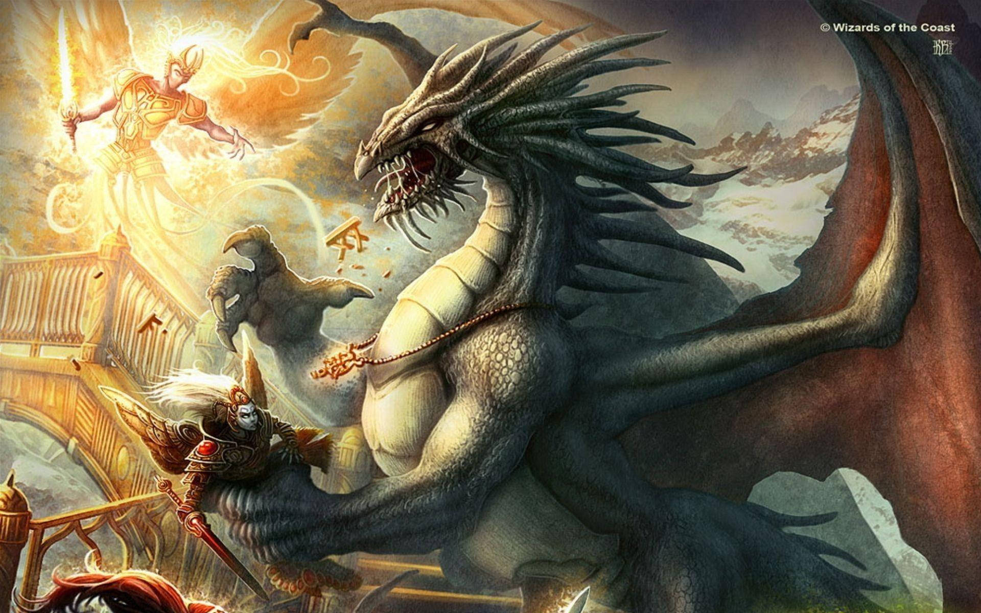 Dragon Battle Wallpapers