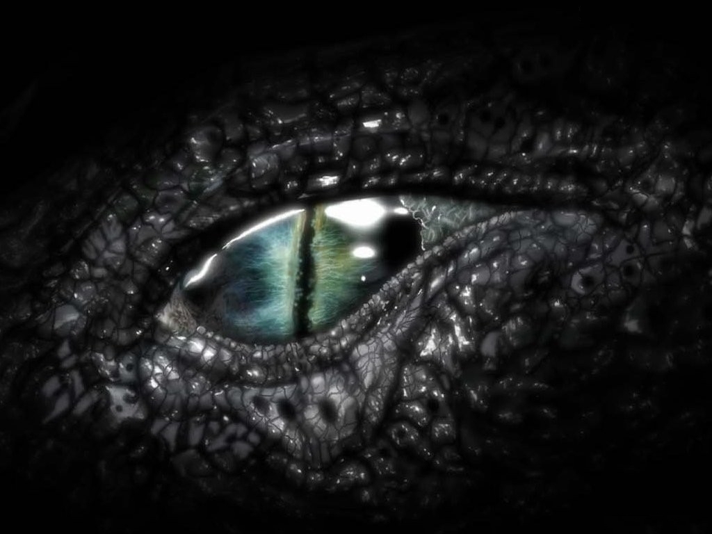 Dragon Eyes
 Wallpapers