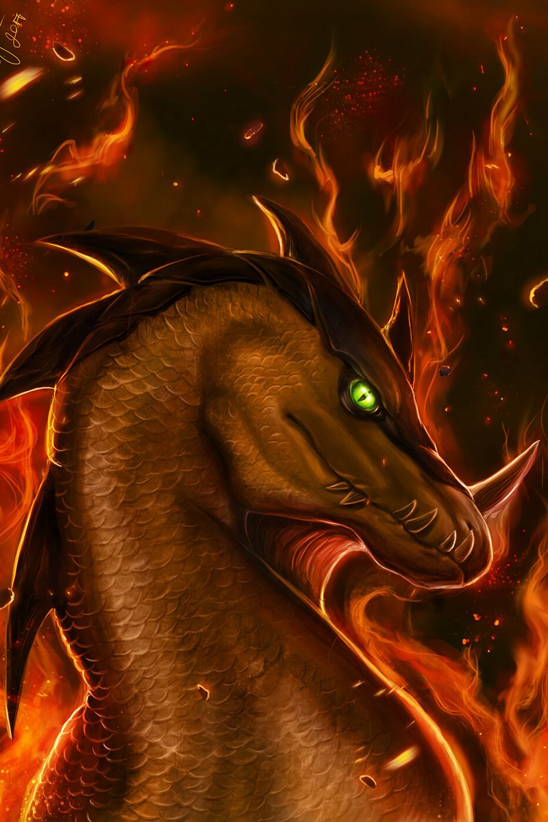 Dragon Fire
 Wallpapers