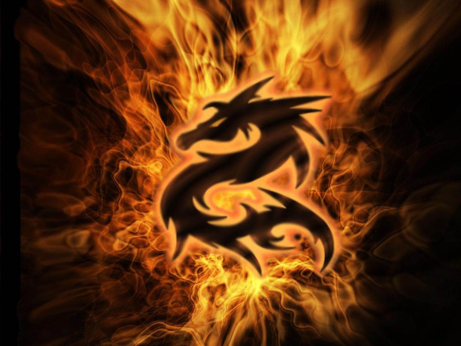 Dragon
 1080P Wallpapers