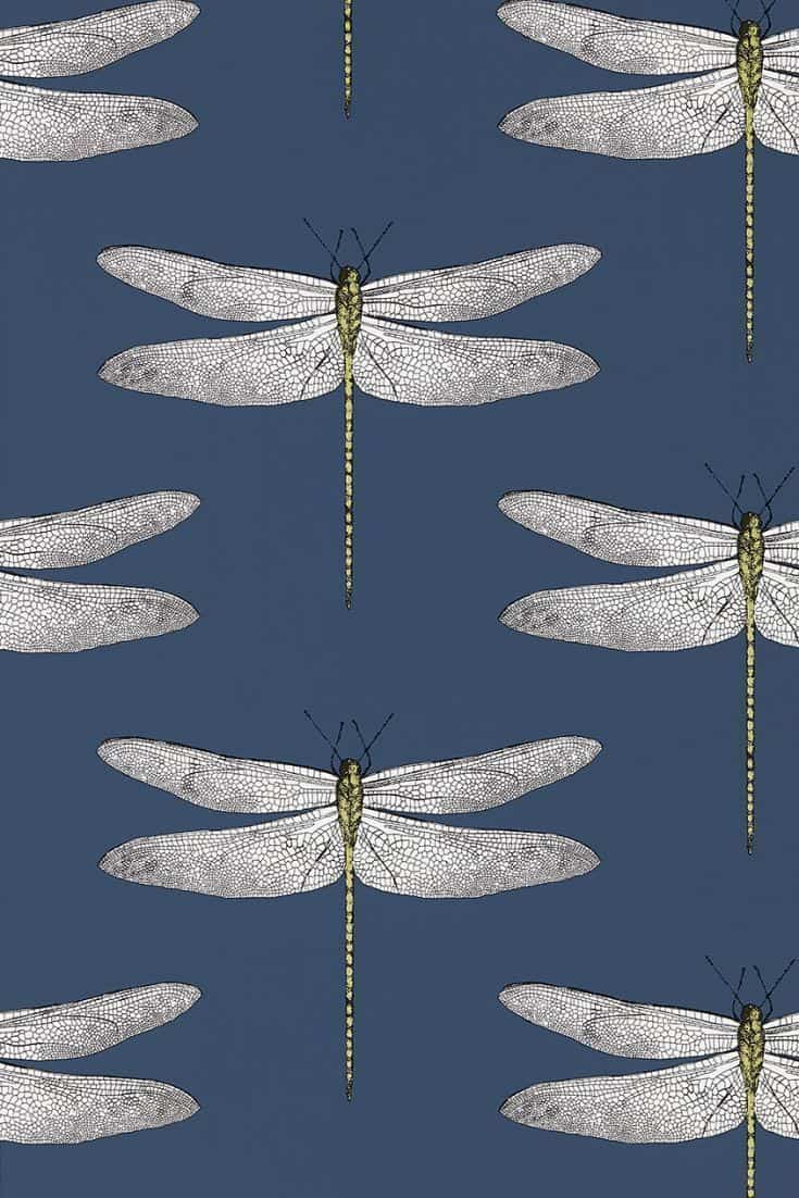 Dragonfly
 Wallpapers