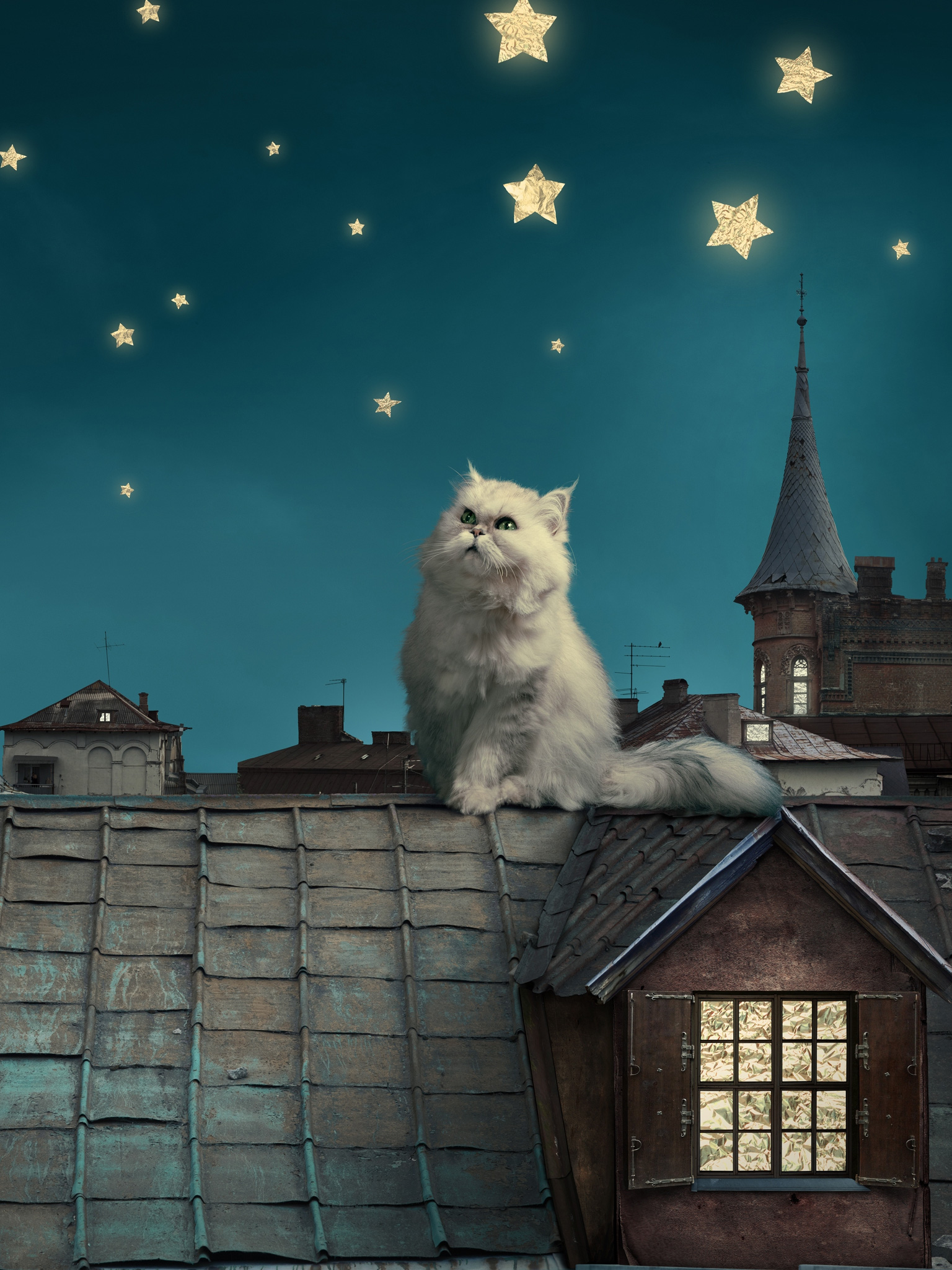 Fantasy Cat Wallpapers