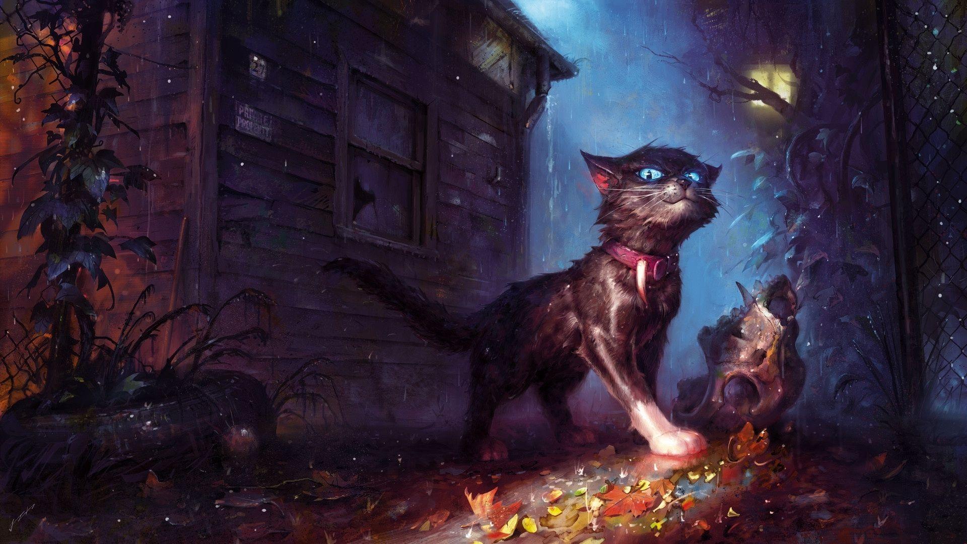 Fantasy Cat Wallpapers