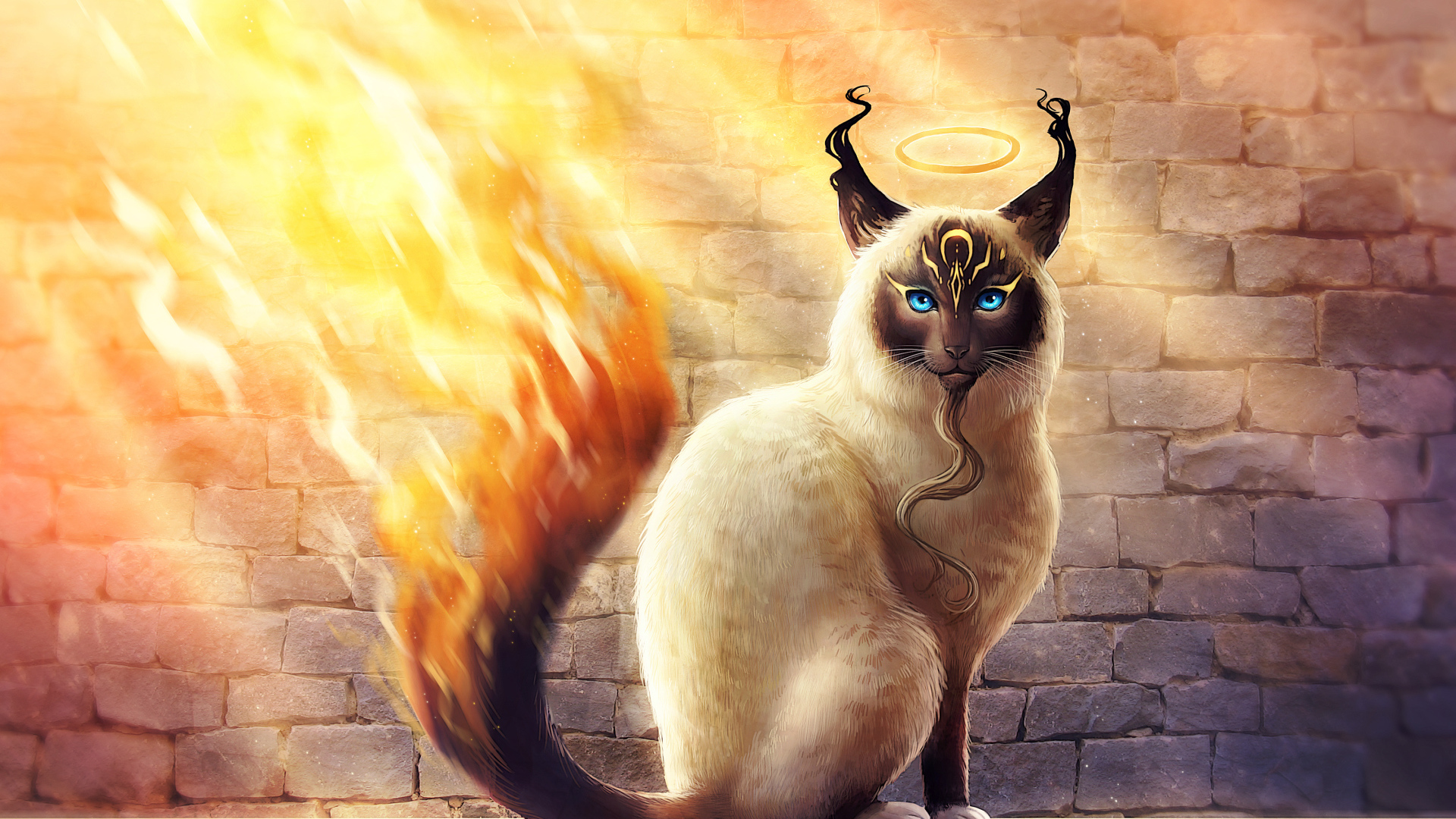 Fantasy Cat Wallpapers