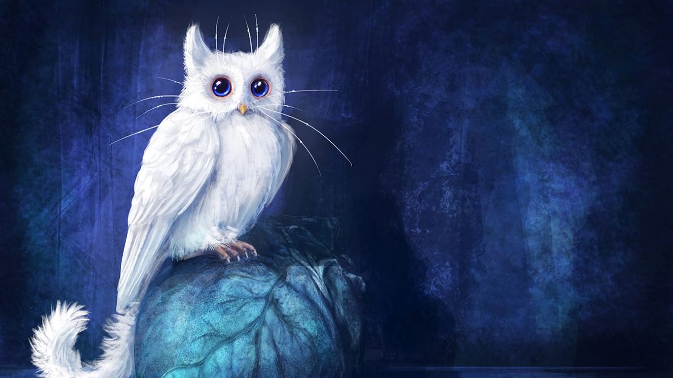 Fantasy Cat Wallpapers