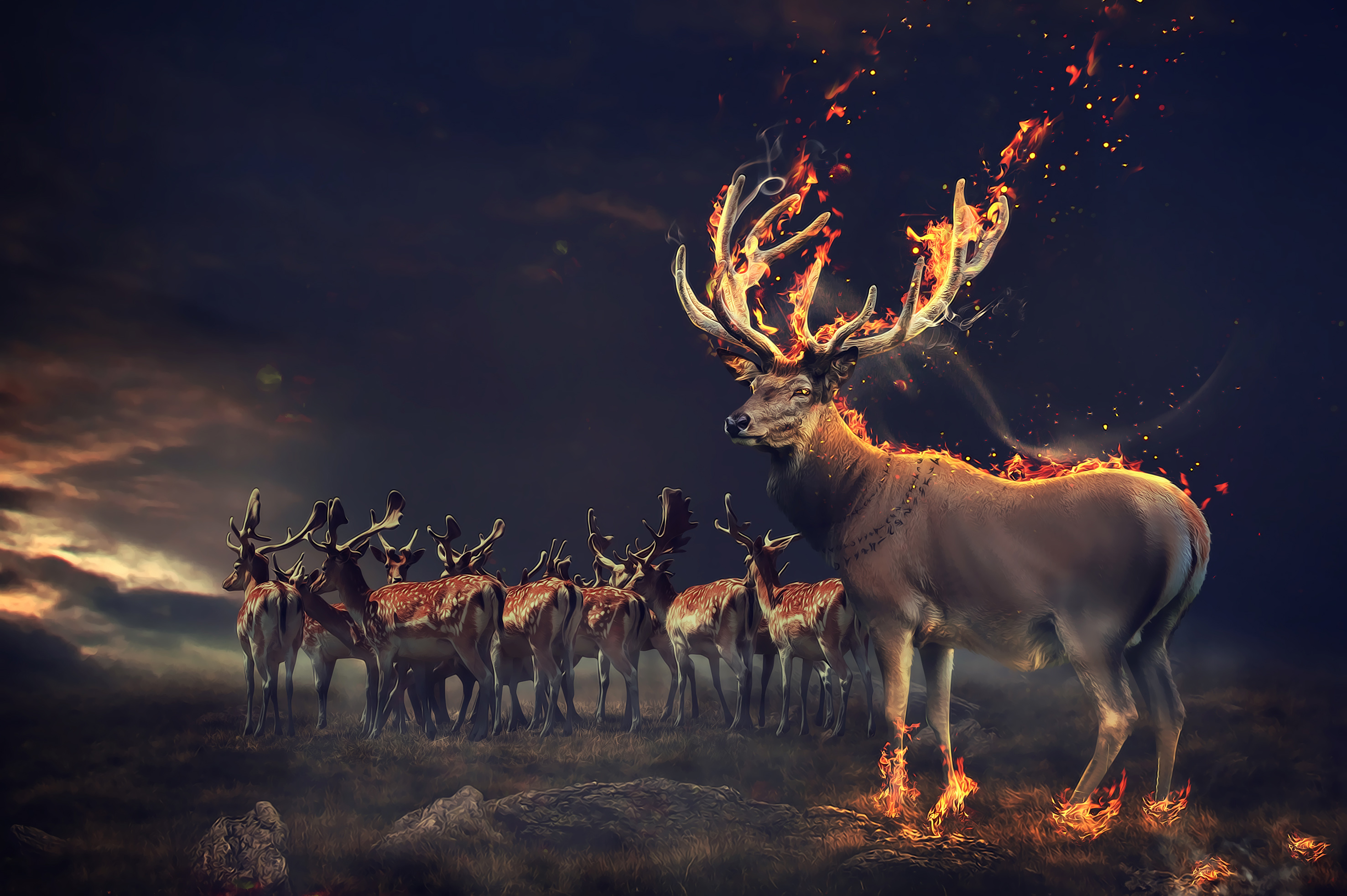 Fantasy Deer
 Wallpapers