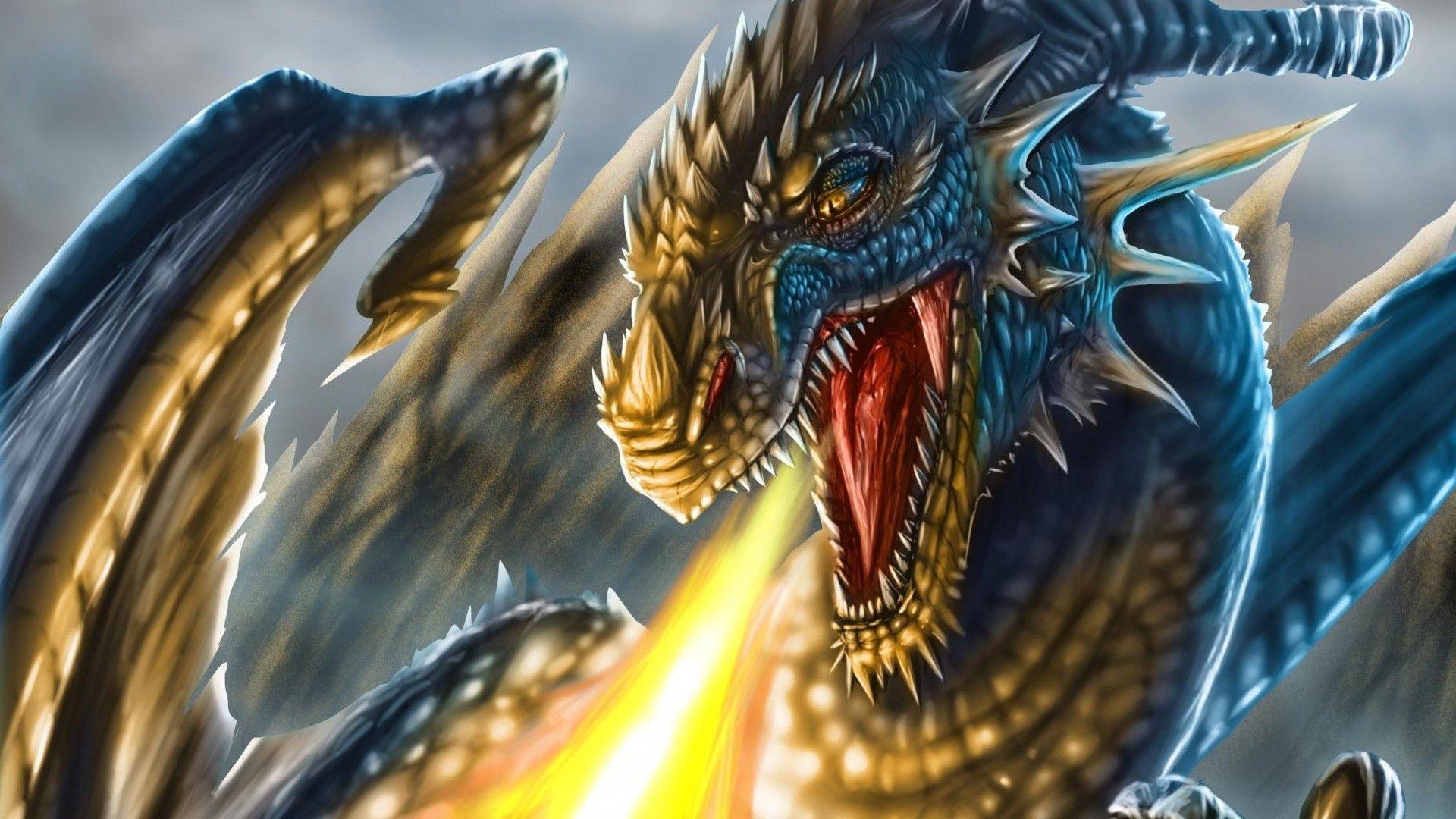 Fantasy Dragon Face Yellow Eyes
 Wallpapers