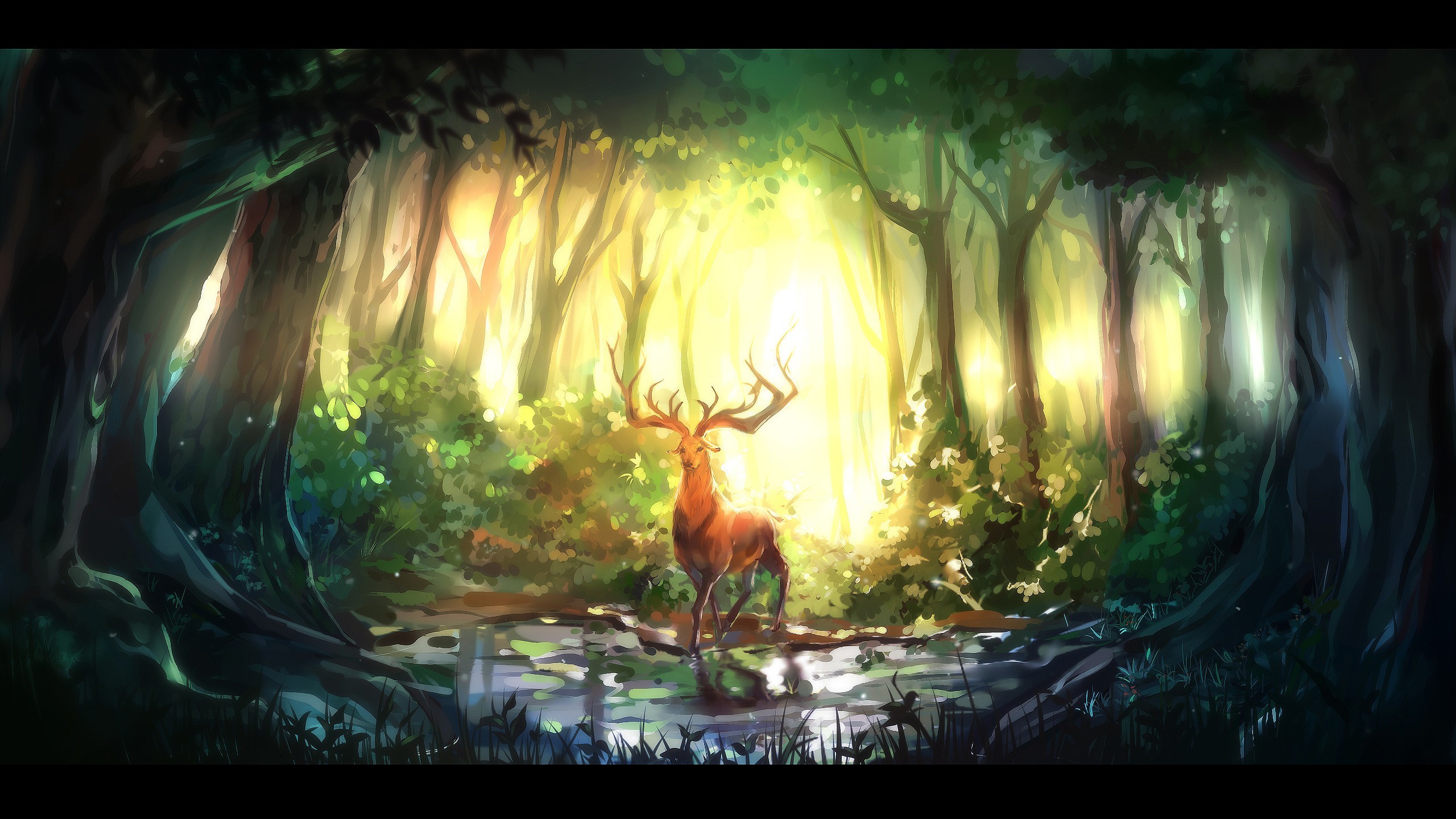 Fantasy Forest
 Wallpapers
