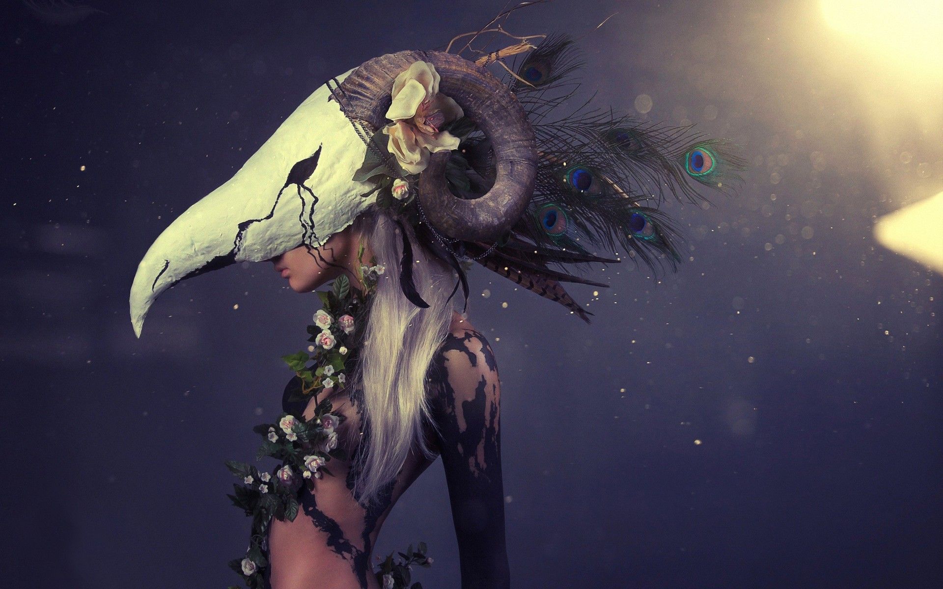 Fantasy Girl In Mask
 Wallpapers