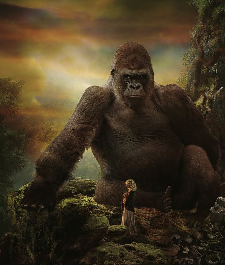 Fantasy King Kong Wallpapers