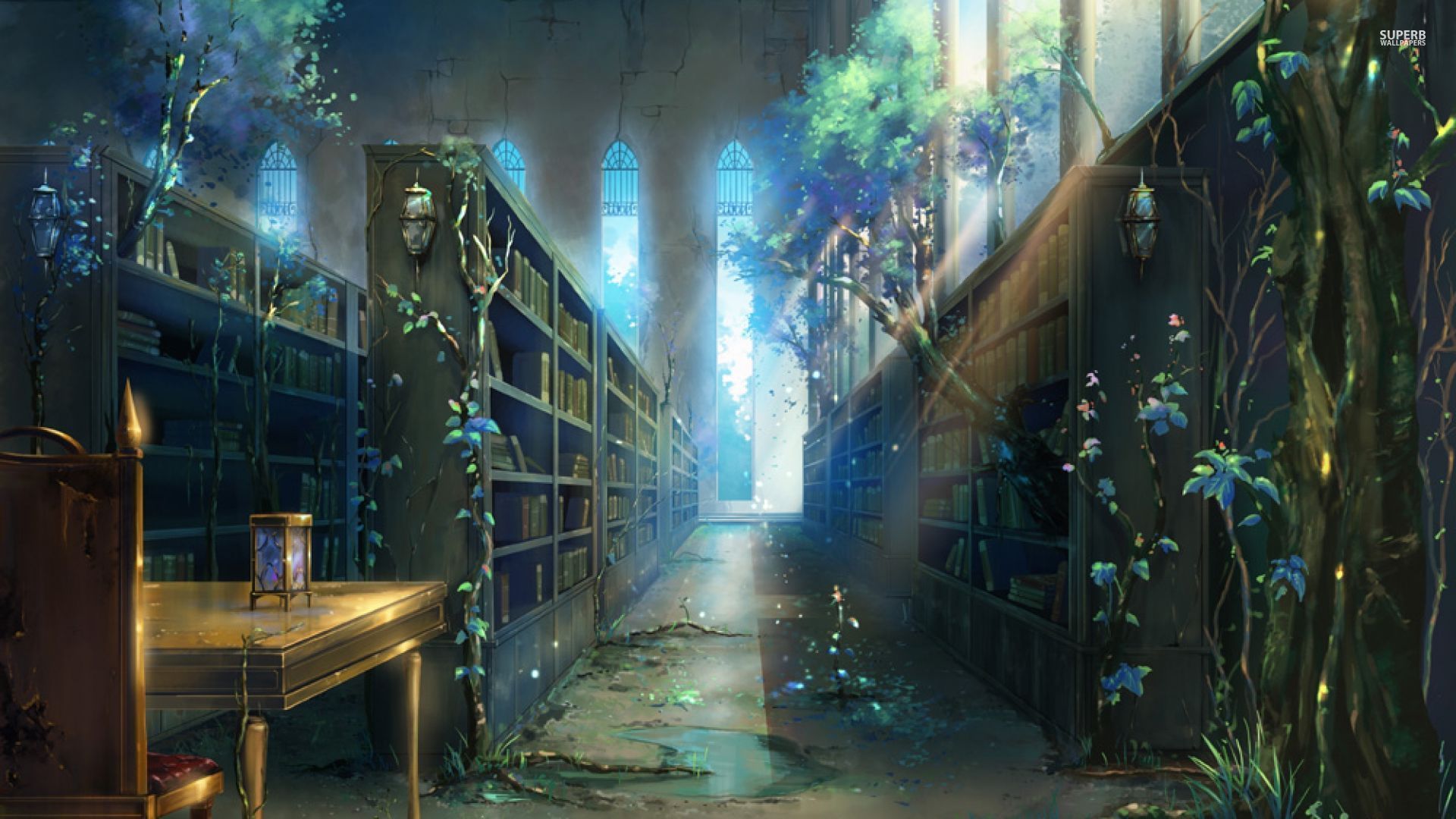 Fantasy Library Wallpapers