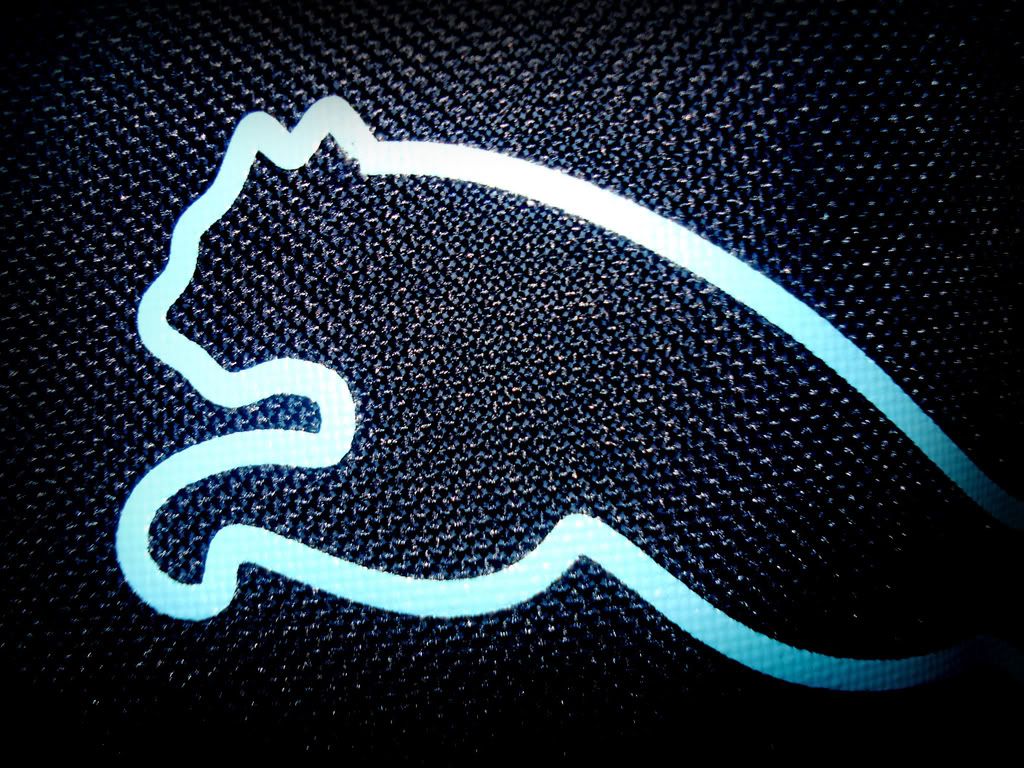 Fantasy Puma Wallpapers